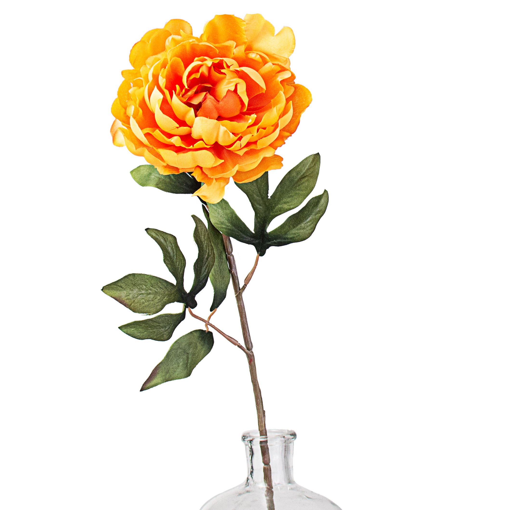 30" Peony Stem: Golden Yellow Item Number: 56738GDYW