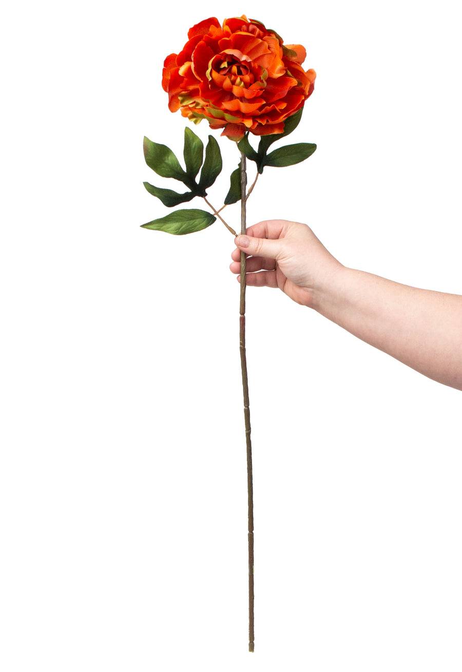 30" Peony Stem: Rust Orange detail photo 3