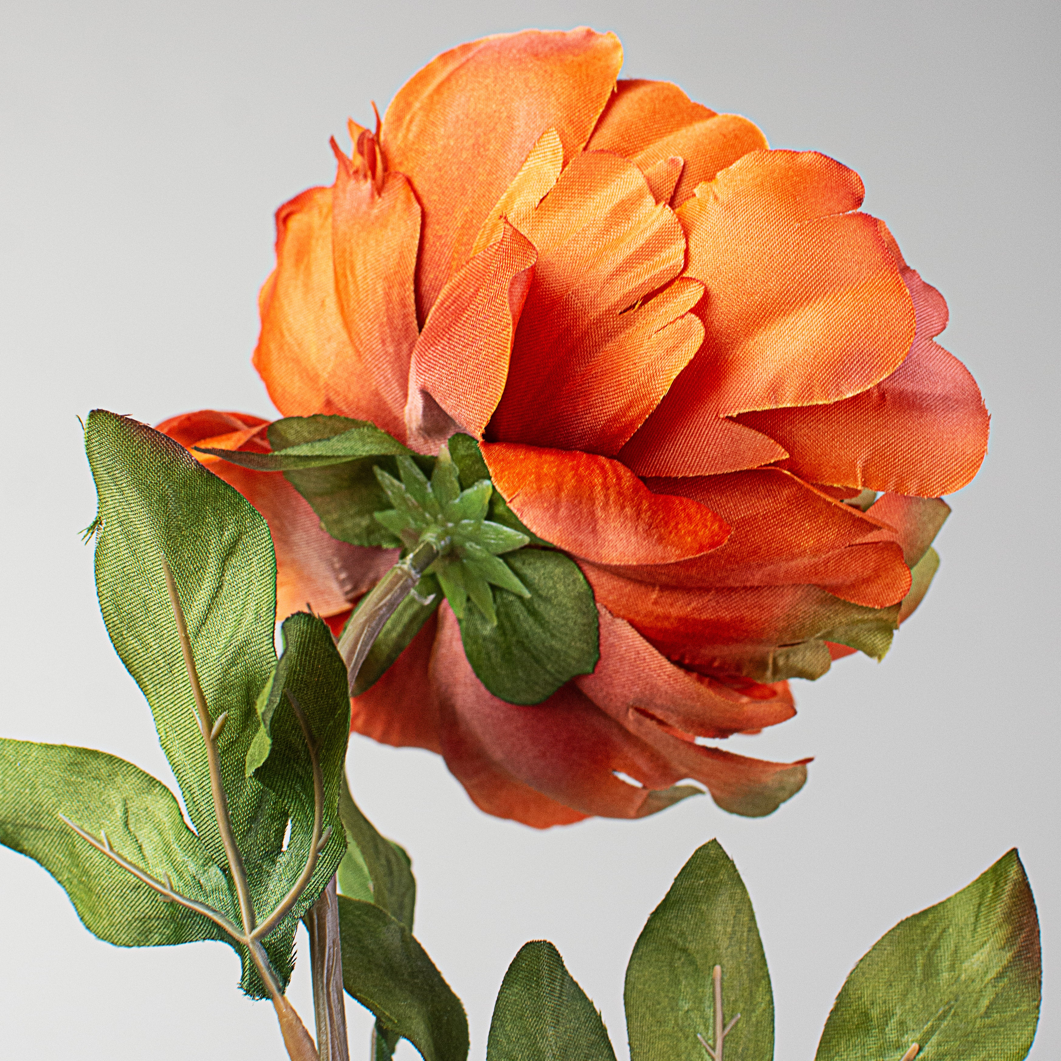 30" Peony Stem: Rust Orange detail photo 4