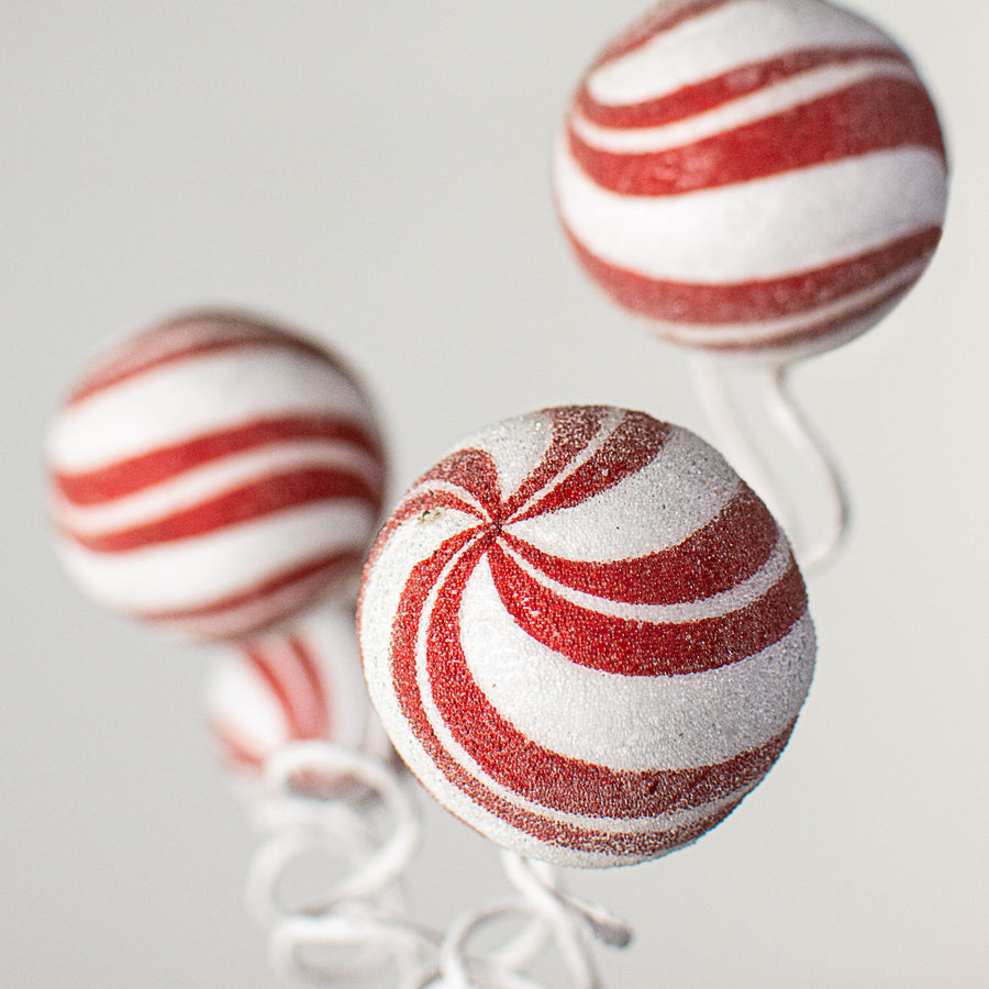 16" Peppermint Ball Pick Lifestyle Photo