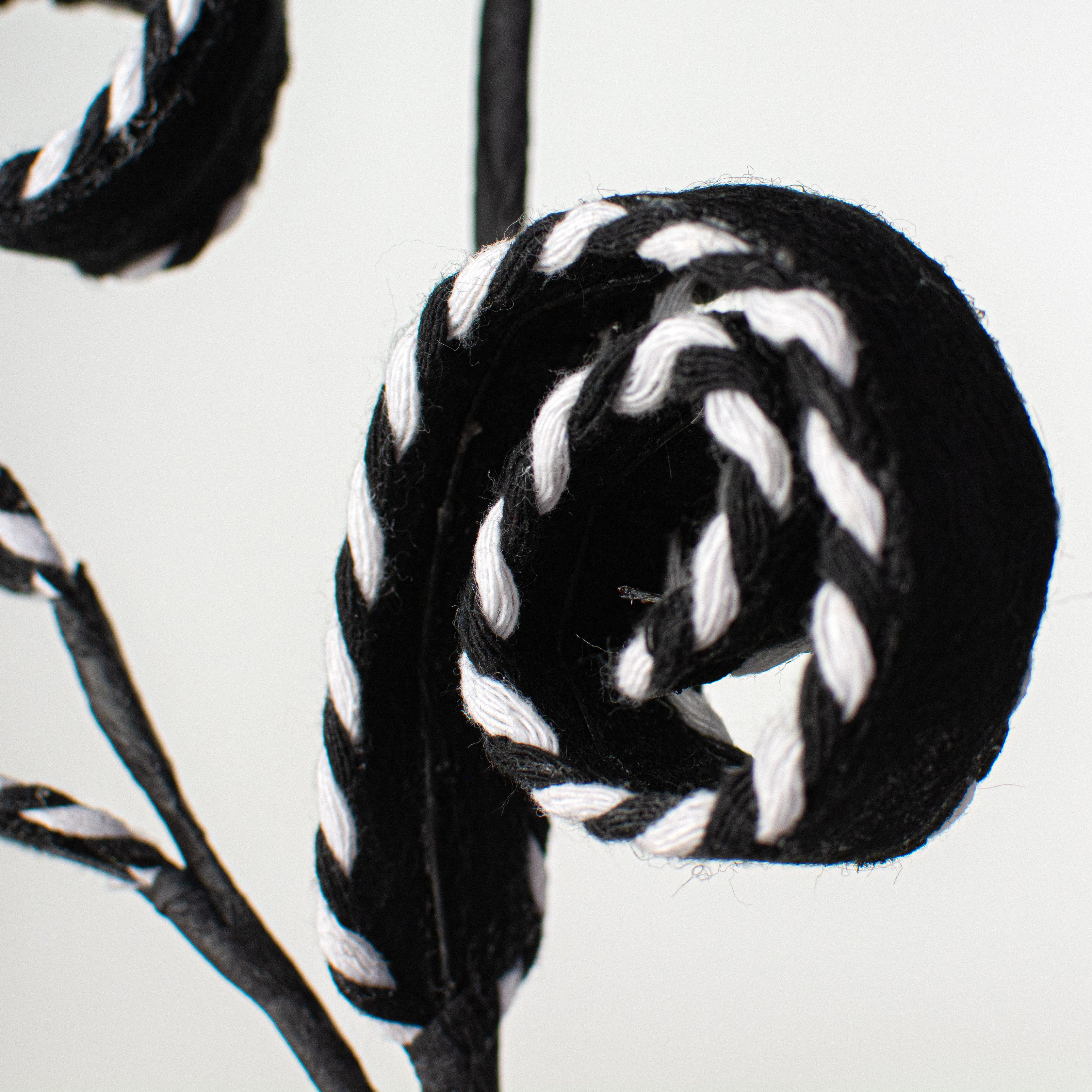 27" Peppermint Curly Felt Spray: Black & White Lifestyle Photo