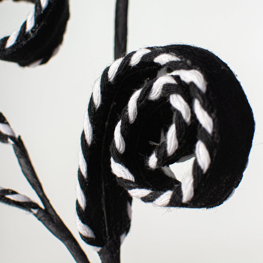 27" Peppermint Curly Felt Spray: Black & White Lifestyle Photo