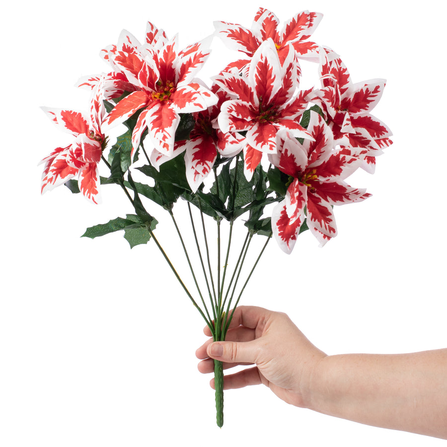 Peppermint Poinsettia Bush (9 Stem) Lifestyle Photo