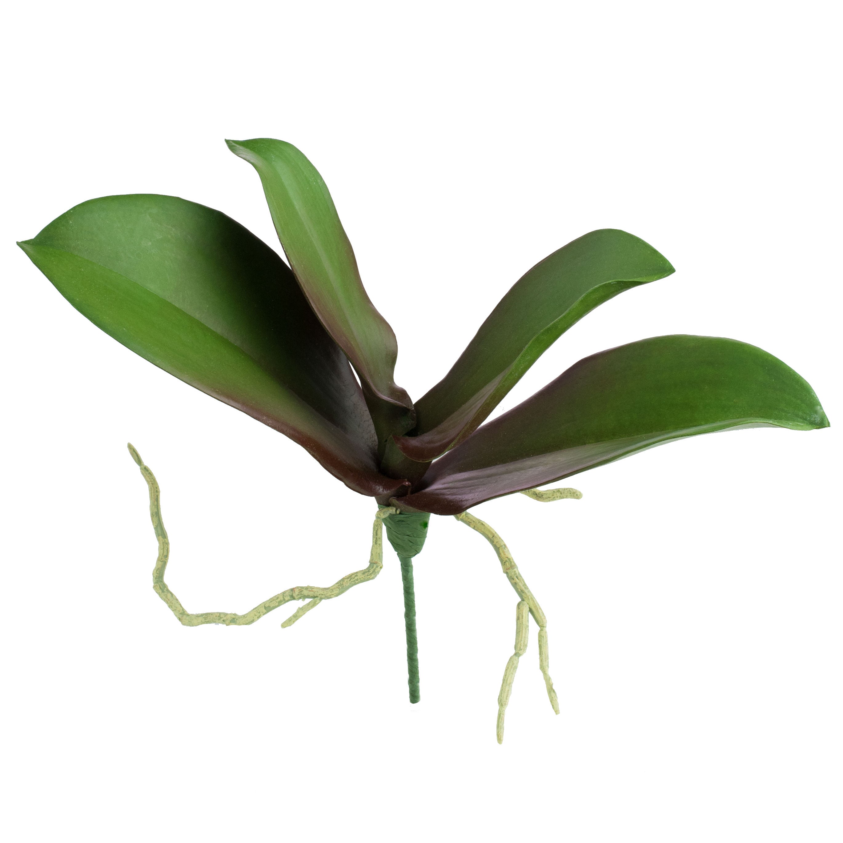 10" Phalaenopsis Orchid Leaves Pick Item Number: 2230035GB