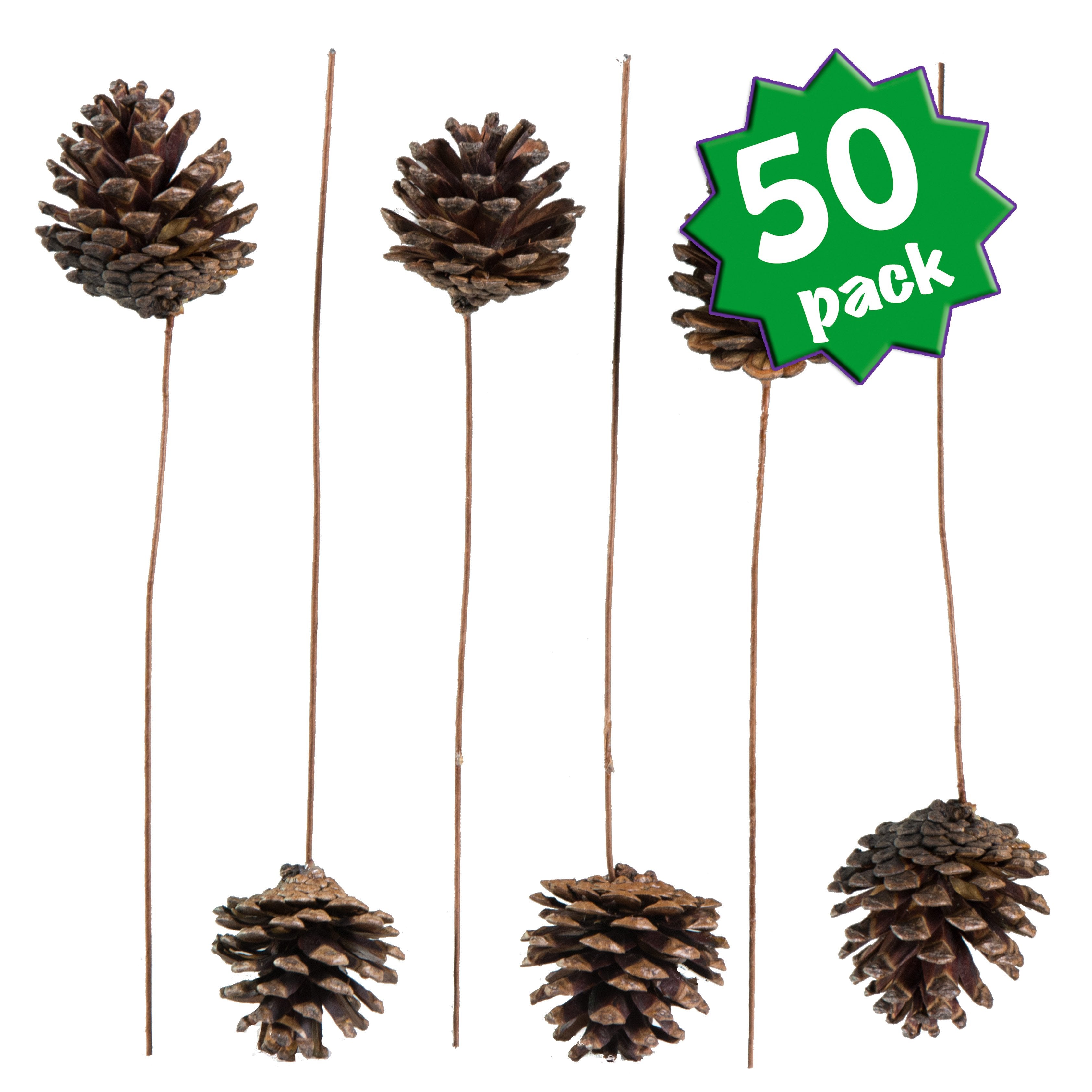 2.5" Pine Cone on Pick: Lacquer Finish (Bag of 50) Item Number: XD1076
