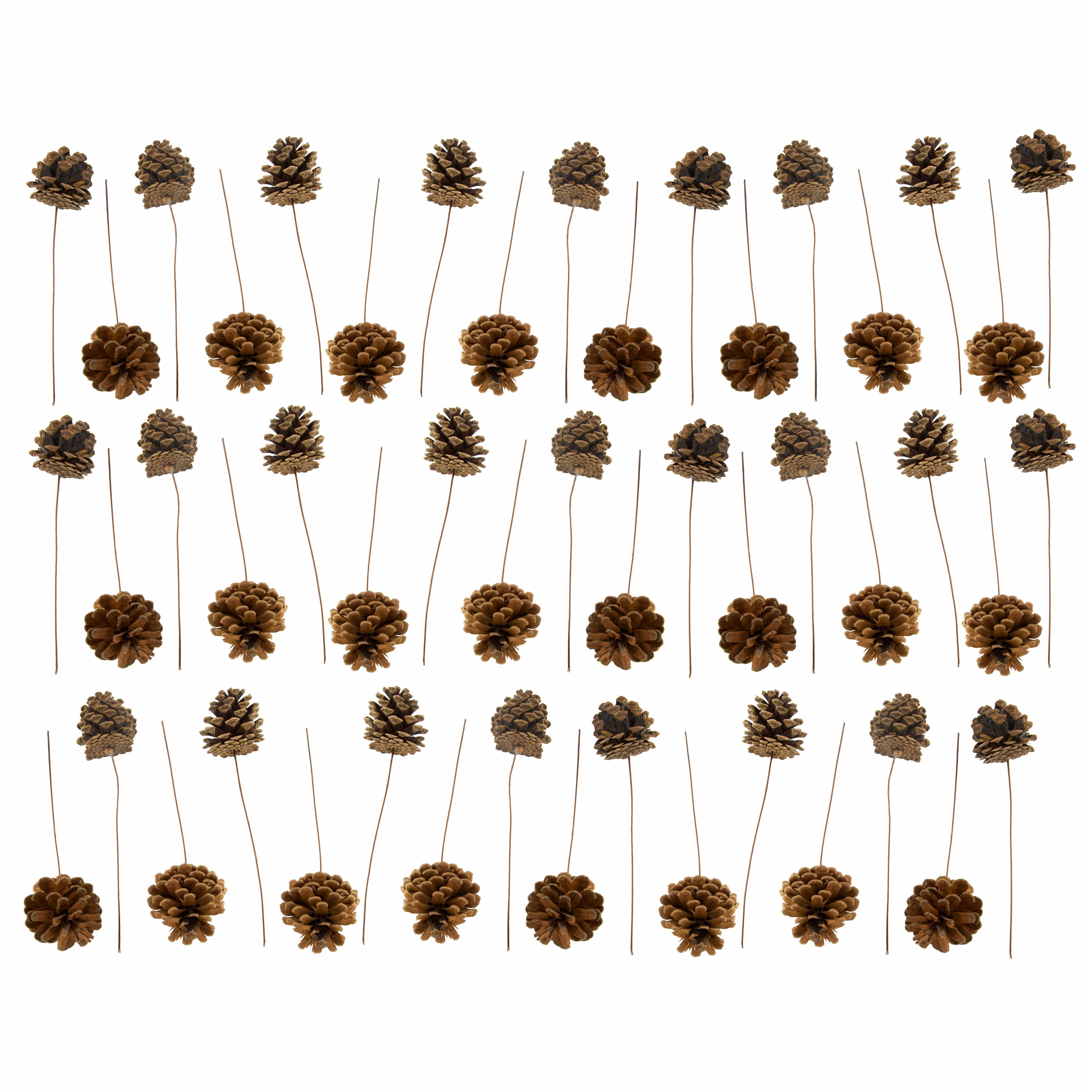 2.5" Pine Cone on Pick: Natural Finish (Bag of 50) detail photo 3