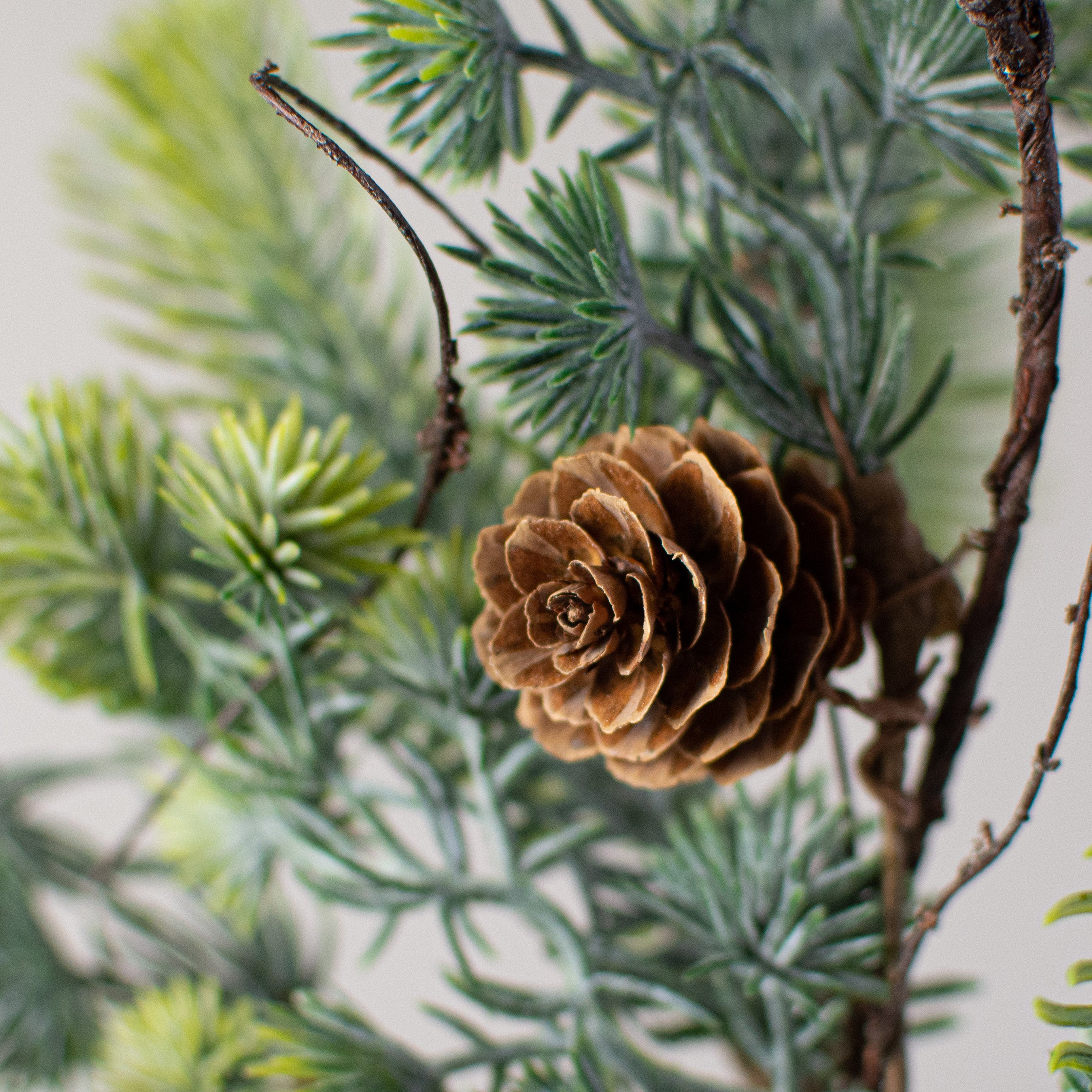 15" Pine Mix Pick Lifestyle Photo