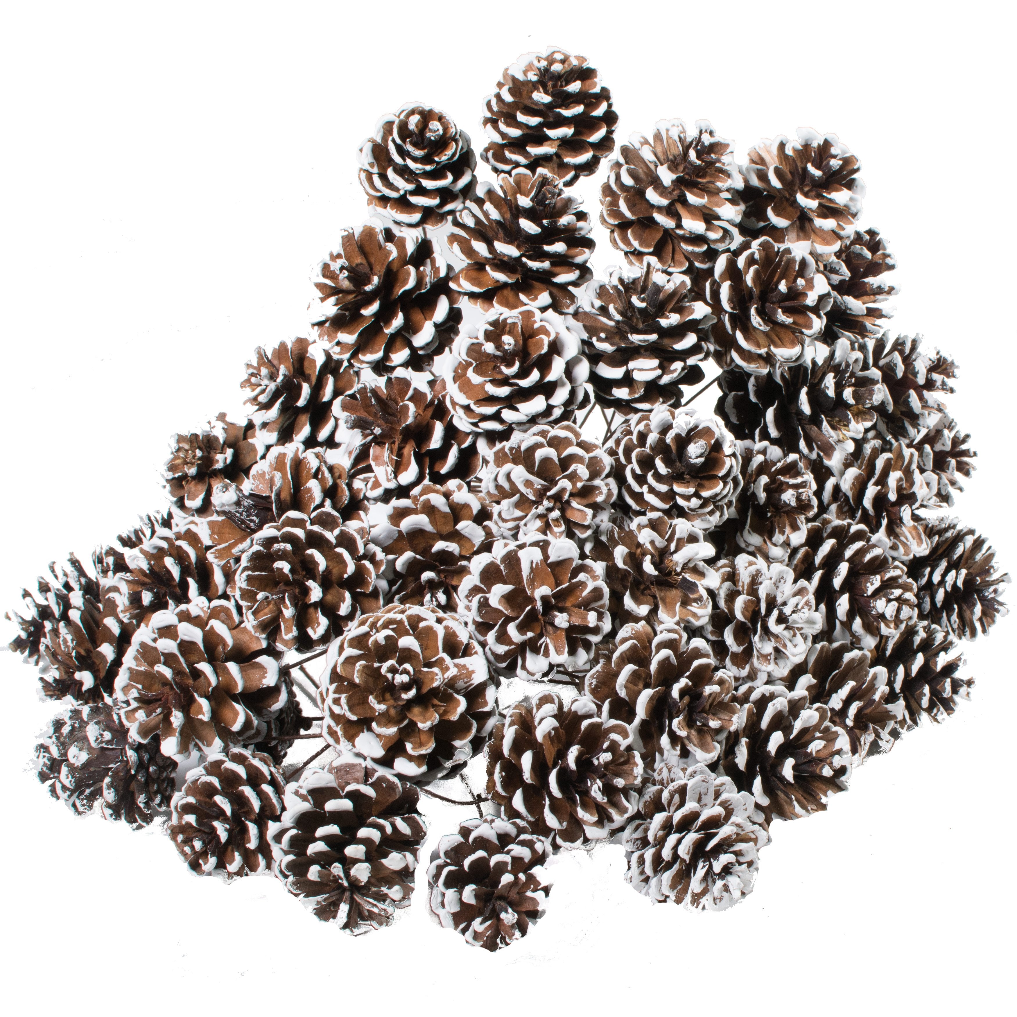 2" Pinecone on Pick: White Tip (Bag of 50) detail photo 3