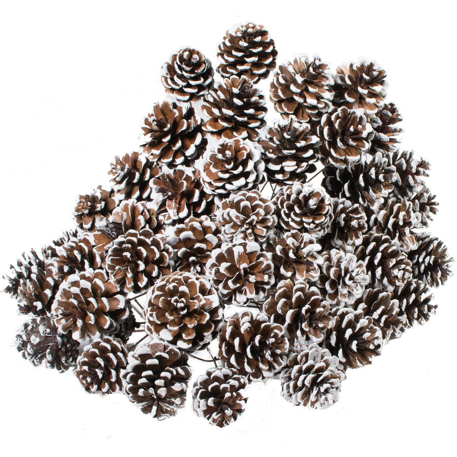 2" Pinecone on Pick: White Tip (Bag of 50) detail photo 3