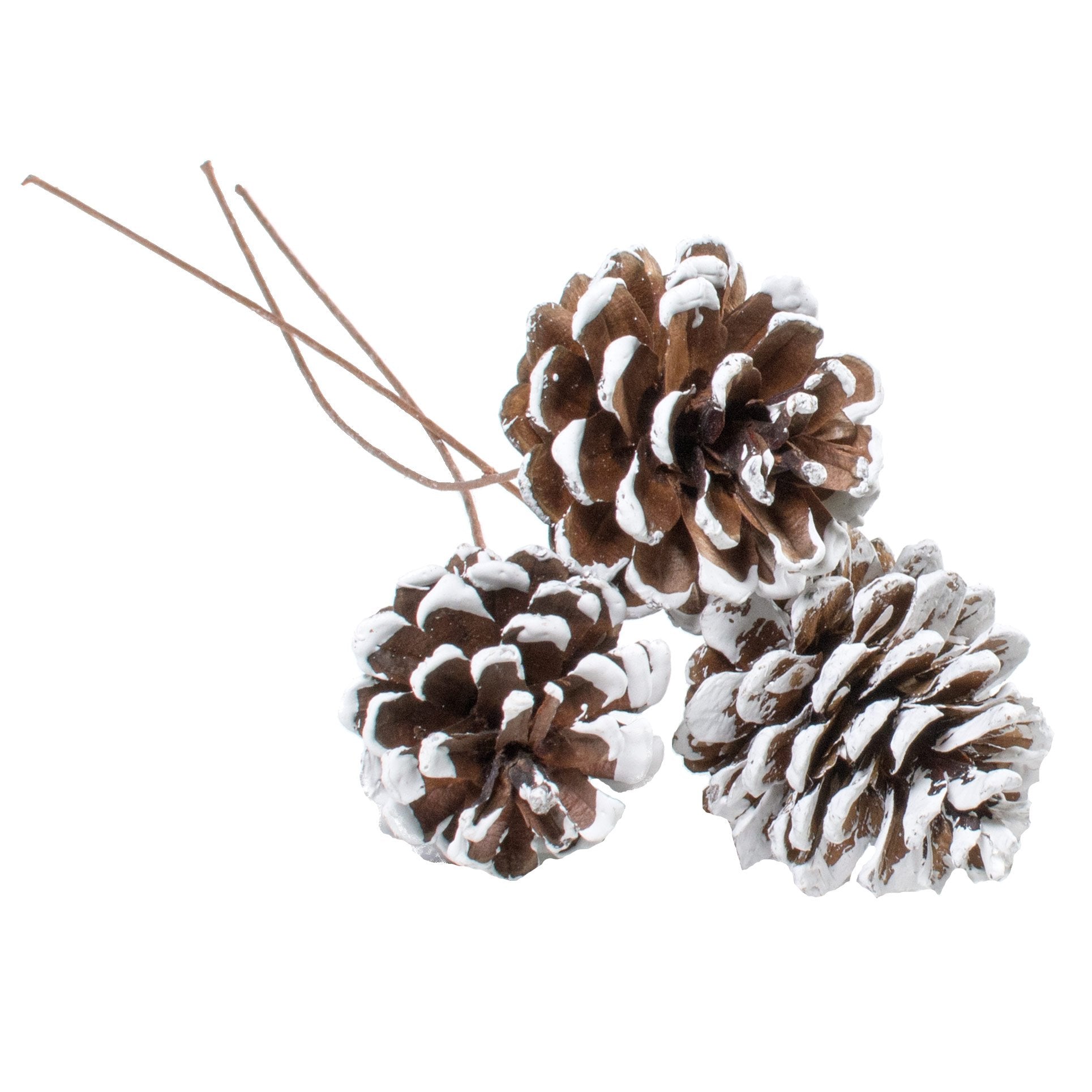 2" Pinecone on Pick: White Tip (Bag of 50) Item Number: XD1079