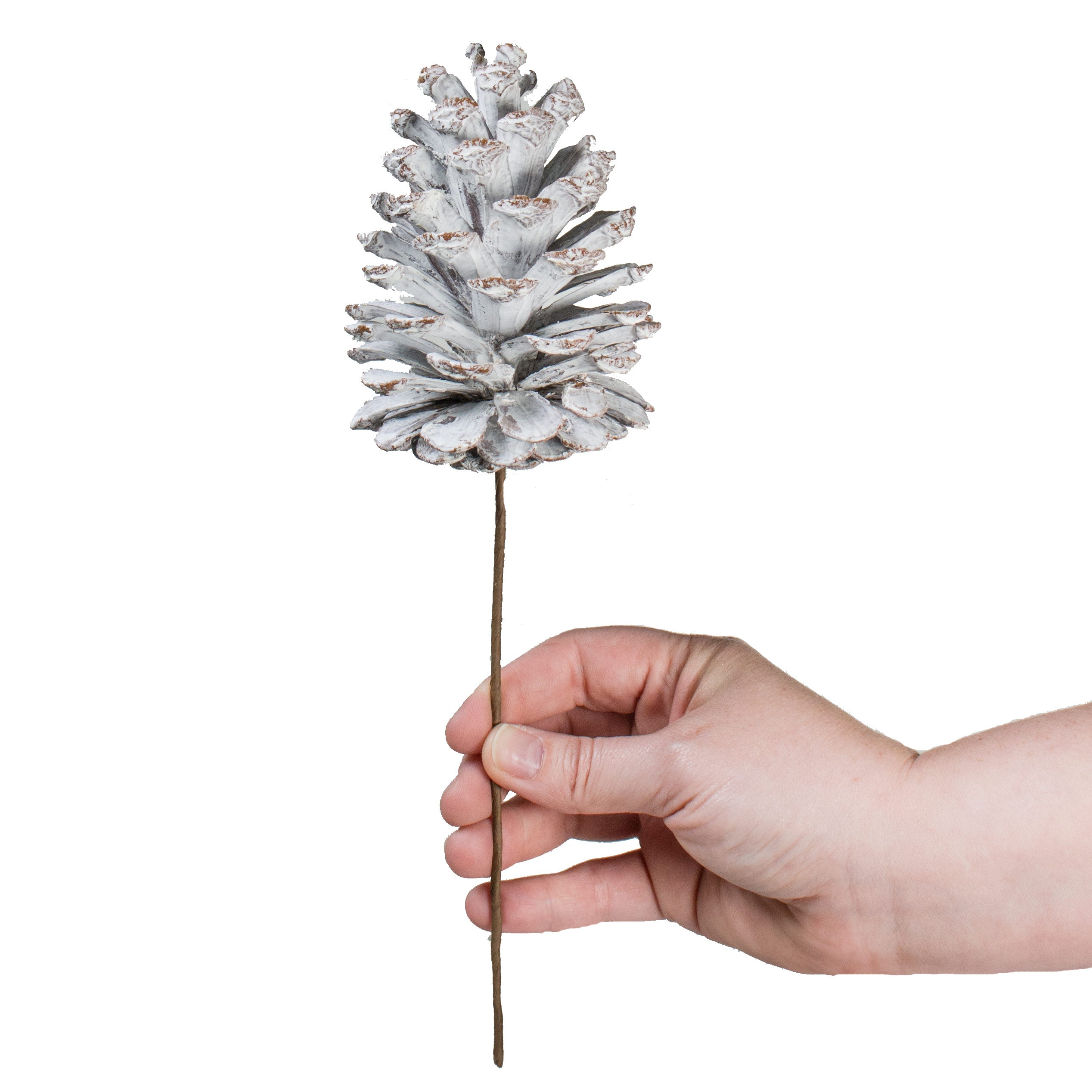 4.25" Pinecone Pick: Whitewash Lifestyle Photo