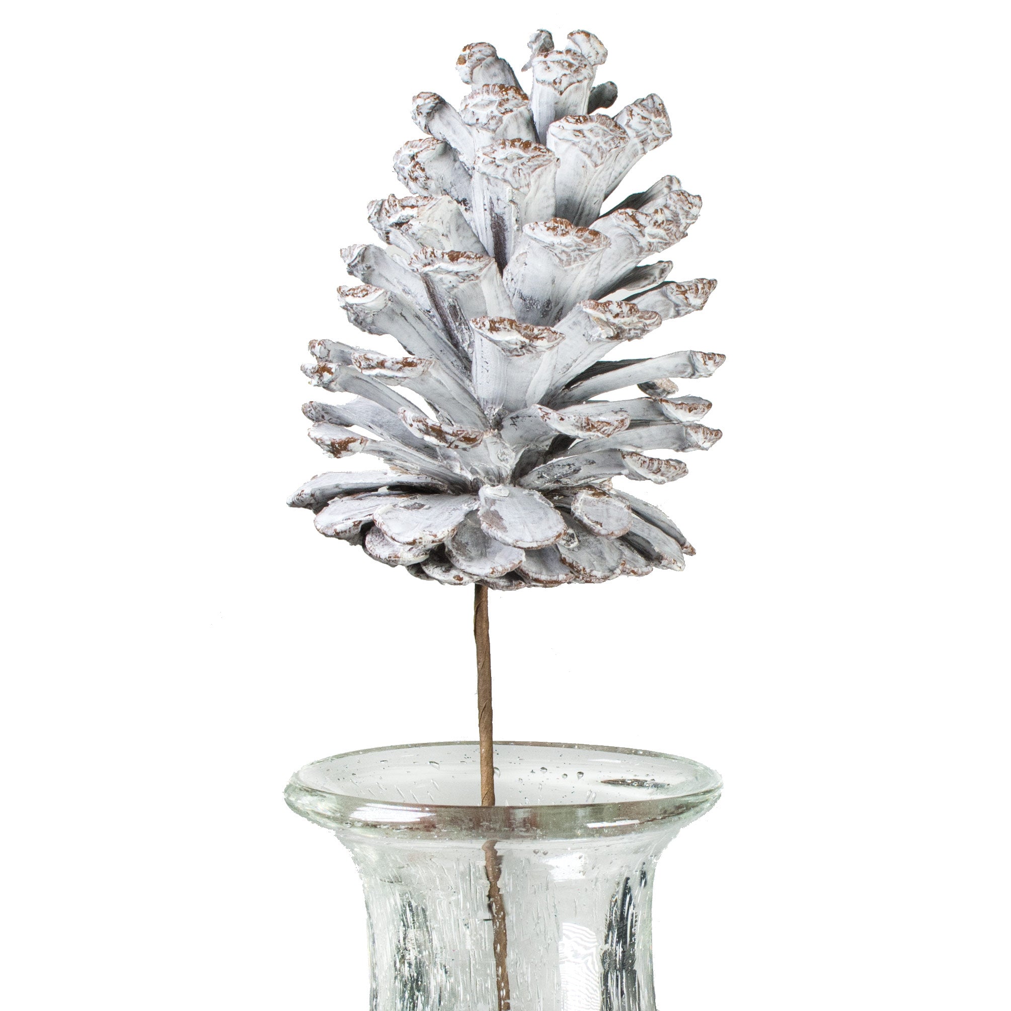 4.25" Pinecone Pick: Whitewash Item Number: XD128634