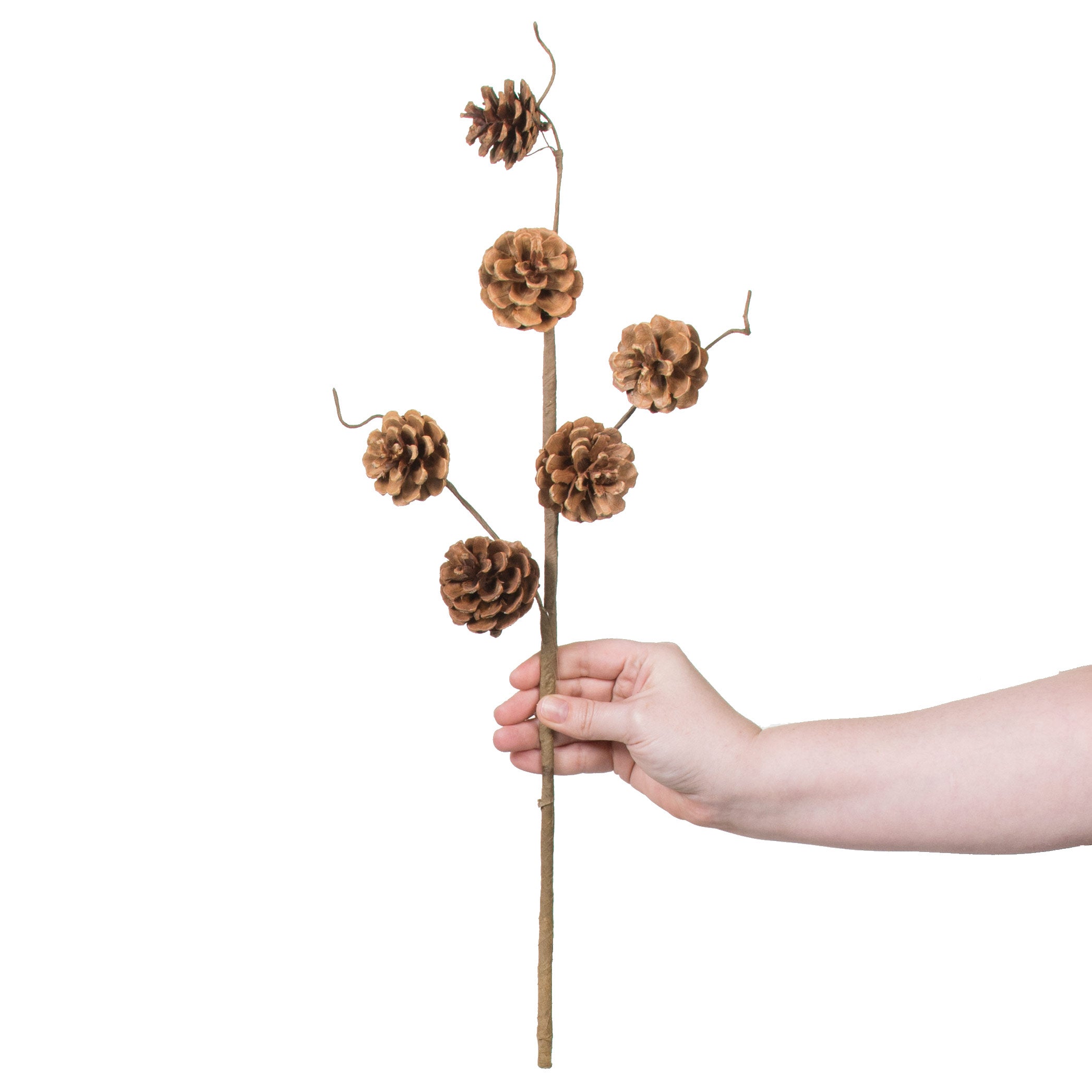 23" Pinecone Spray: Natural Lifestyle Photo