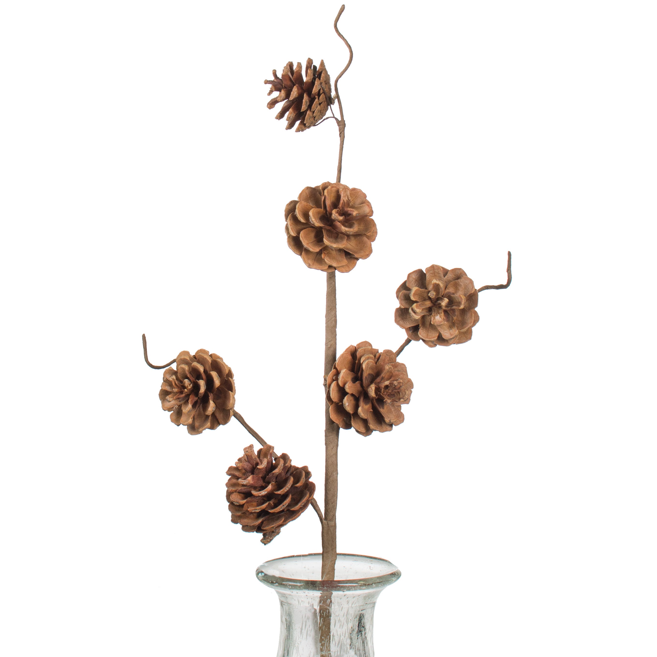 23" Pinecone Spray: Natural Item Number: XD3210