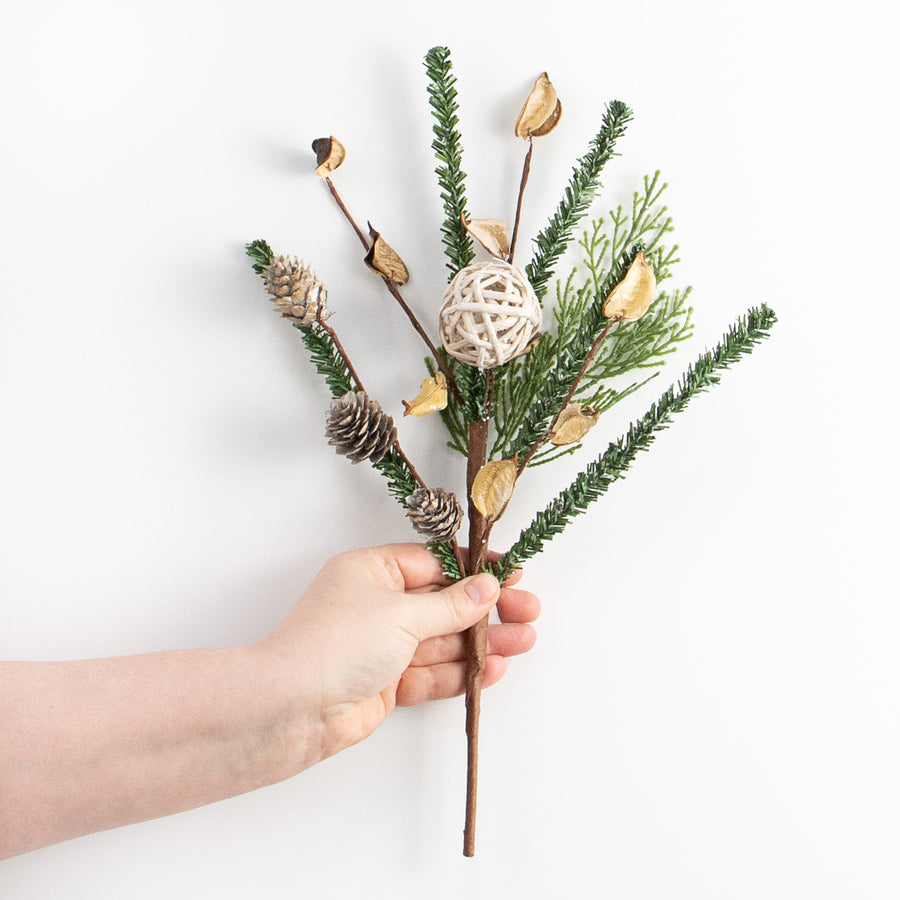 14" Pines with Rattan Ball and Birch Cones Pick detail photo 3