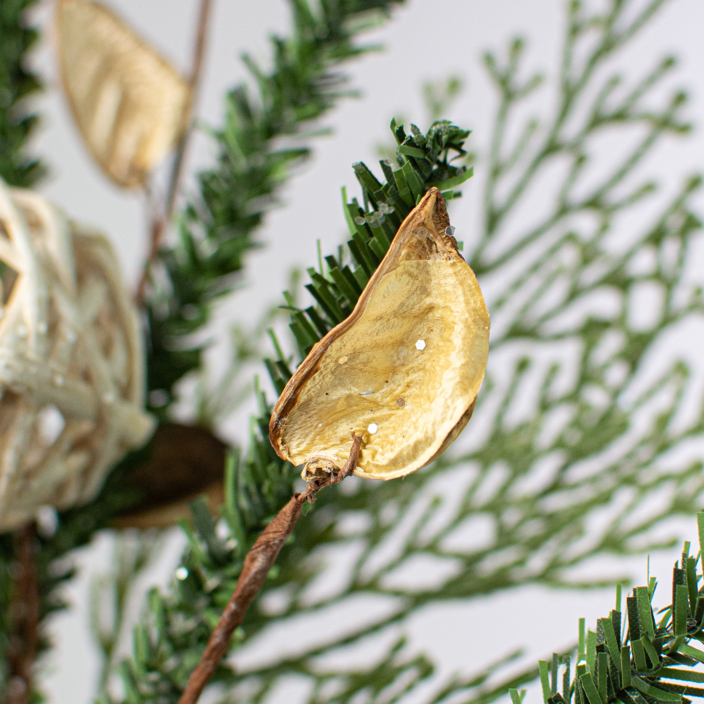 14" Pines with Rattan Ball and Birch Cones Pick detail photo 4