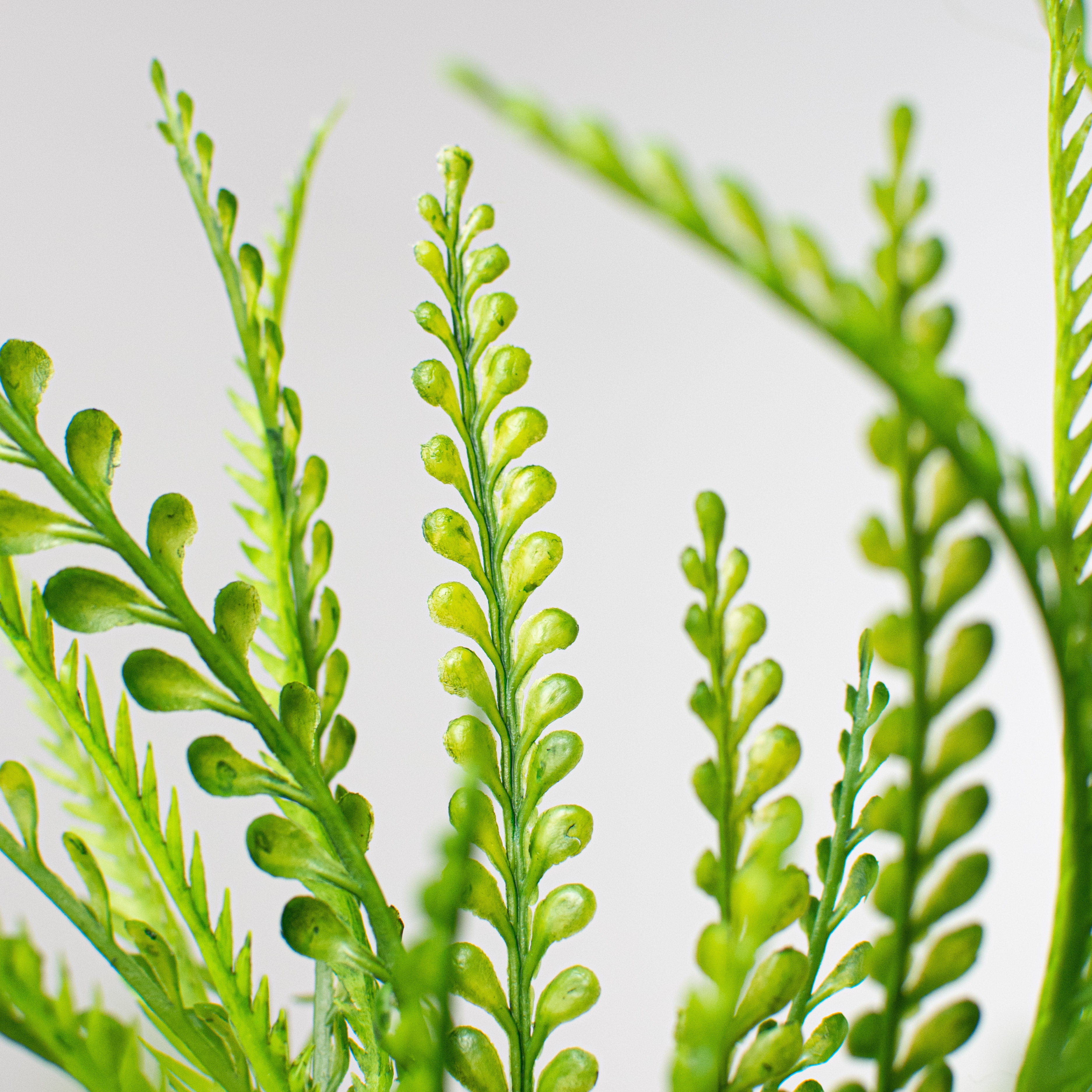 18" Plastic Leaf Button Fern Bush detail photo 4