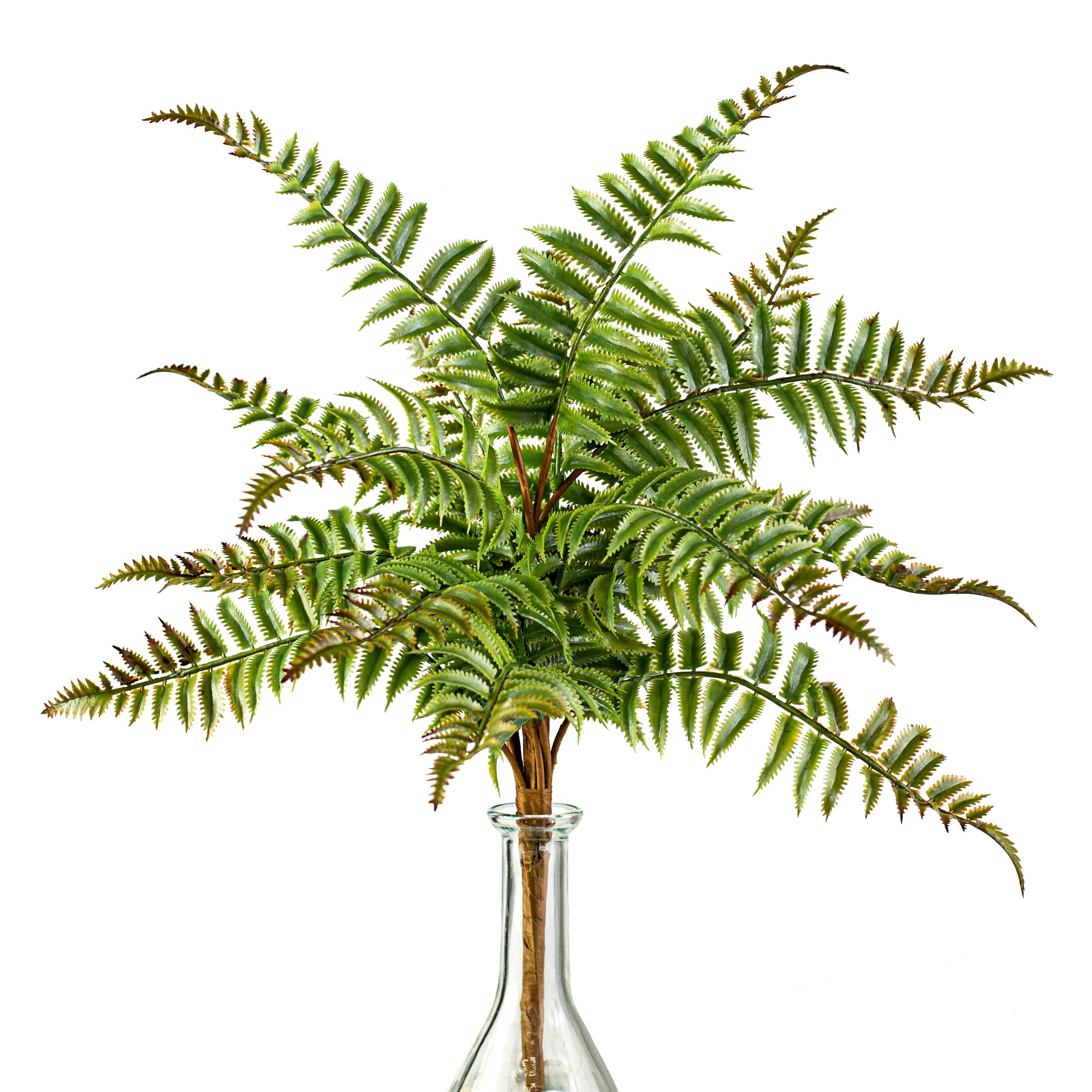 19" Plastic Mini Fern Bush Item Number: 13547GN