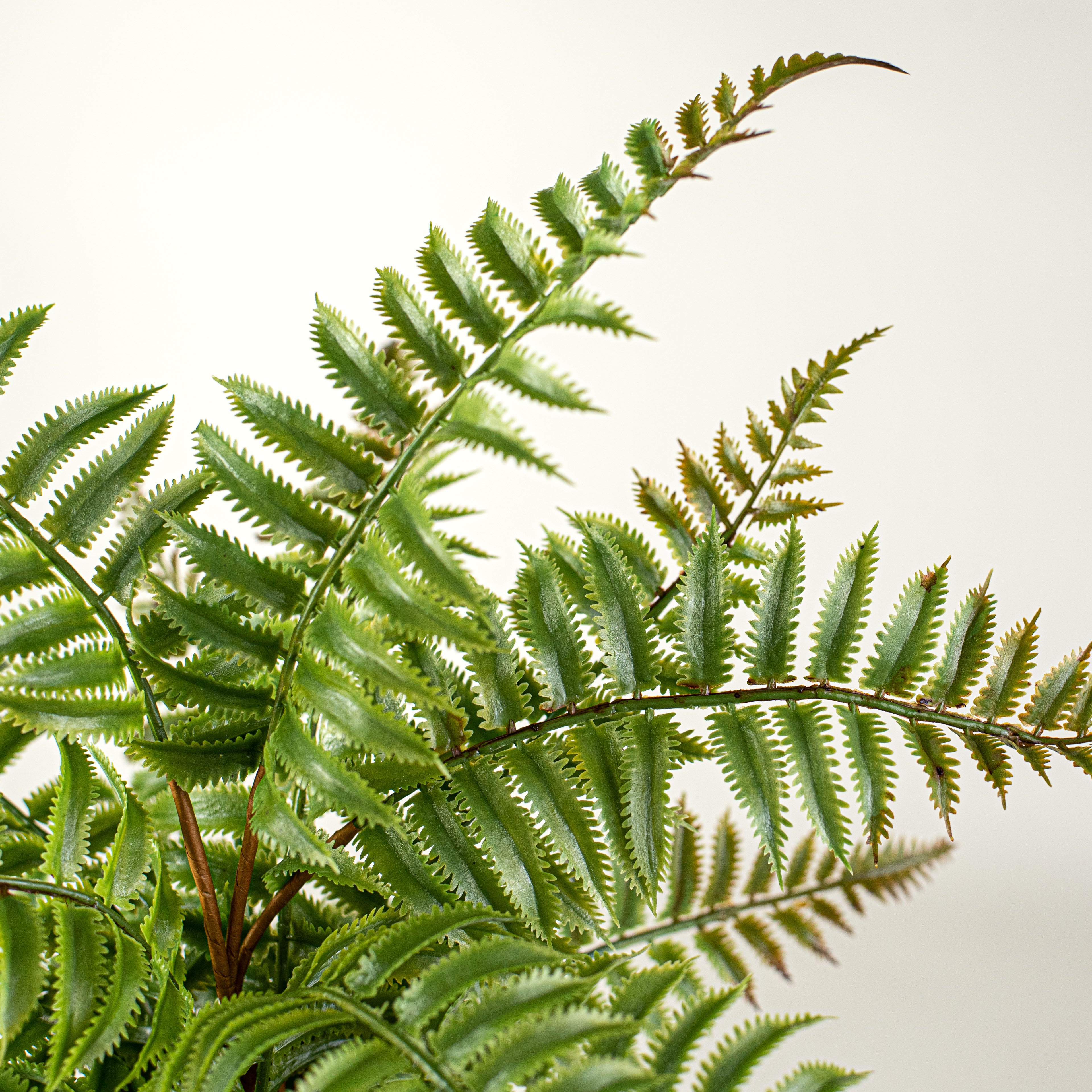 19" Plastic Mini Fern Bush Lifestyle Photo