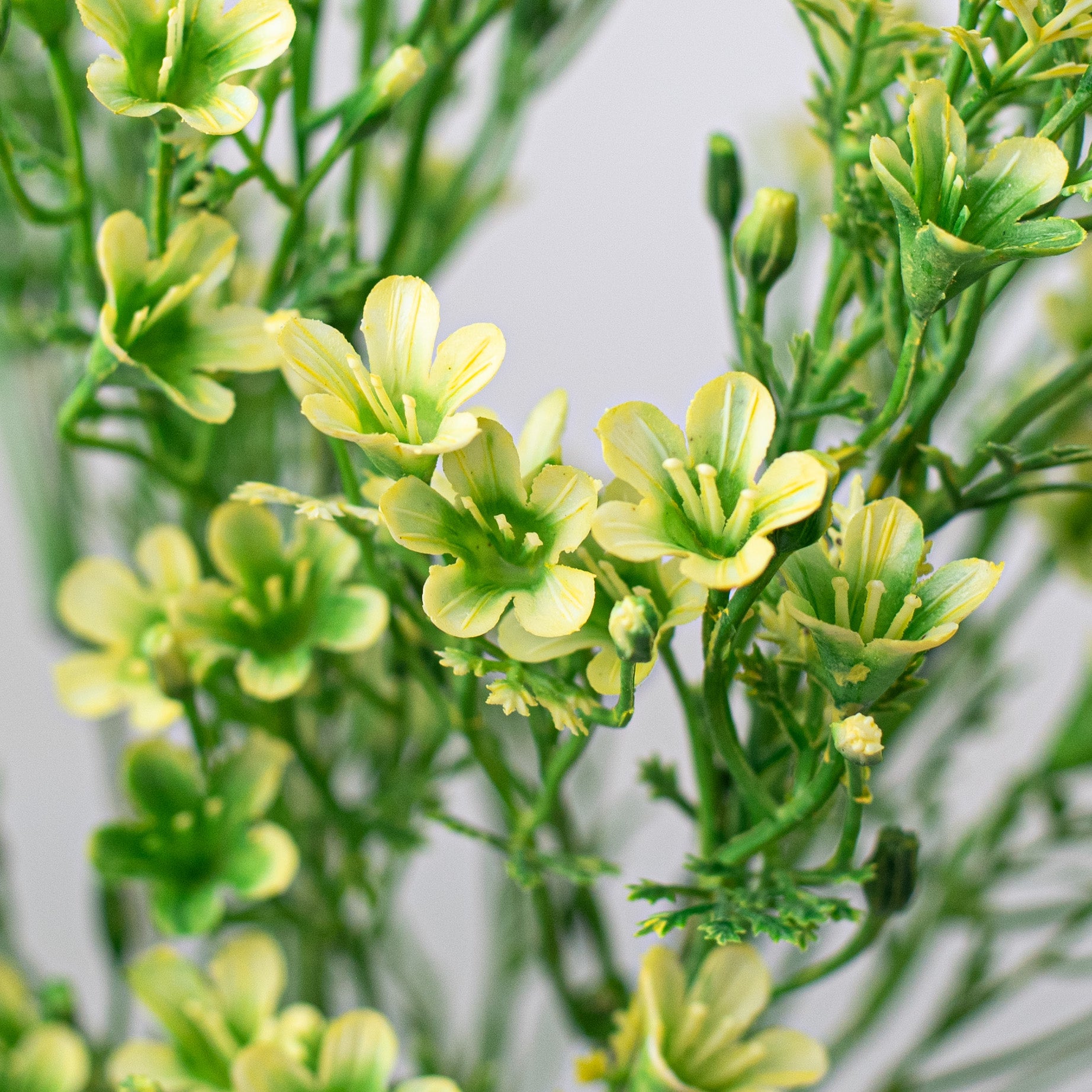 14" Plastic Wax Flower Bush: Cream Lifestyle Photo