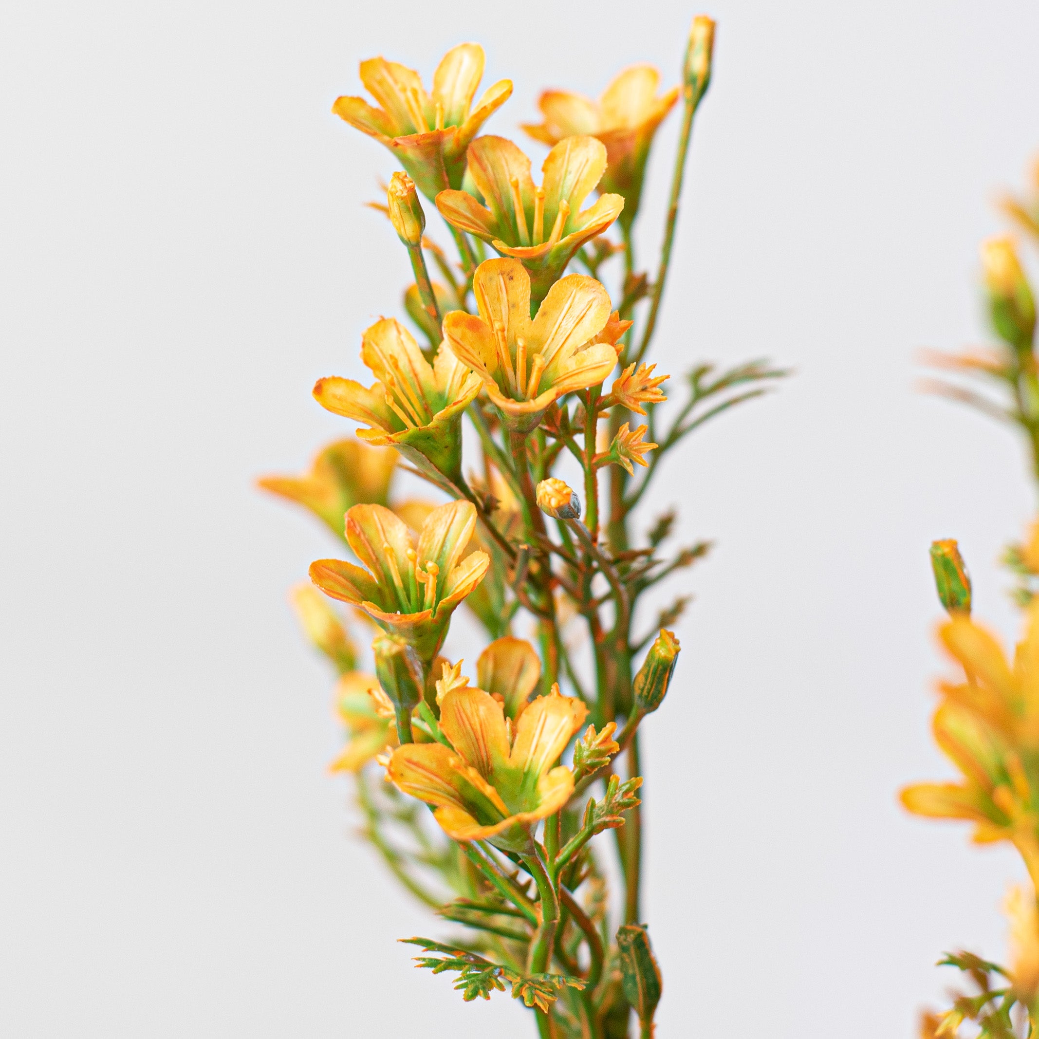 14" Plastic Wax Flower Bush: Yellow detail photo 4