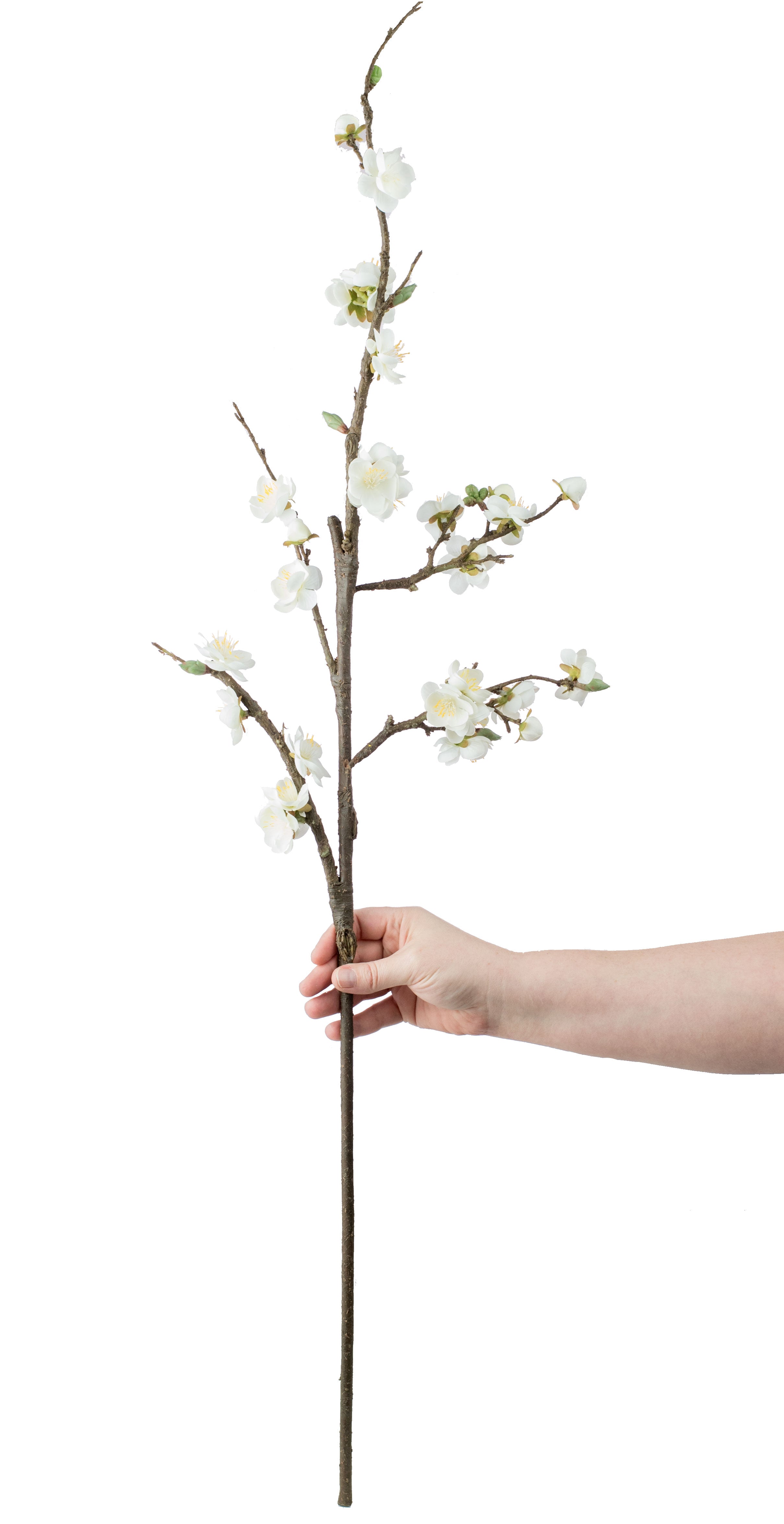 41" Plum Blossom Branch: Cream Lifestyle Photo