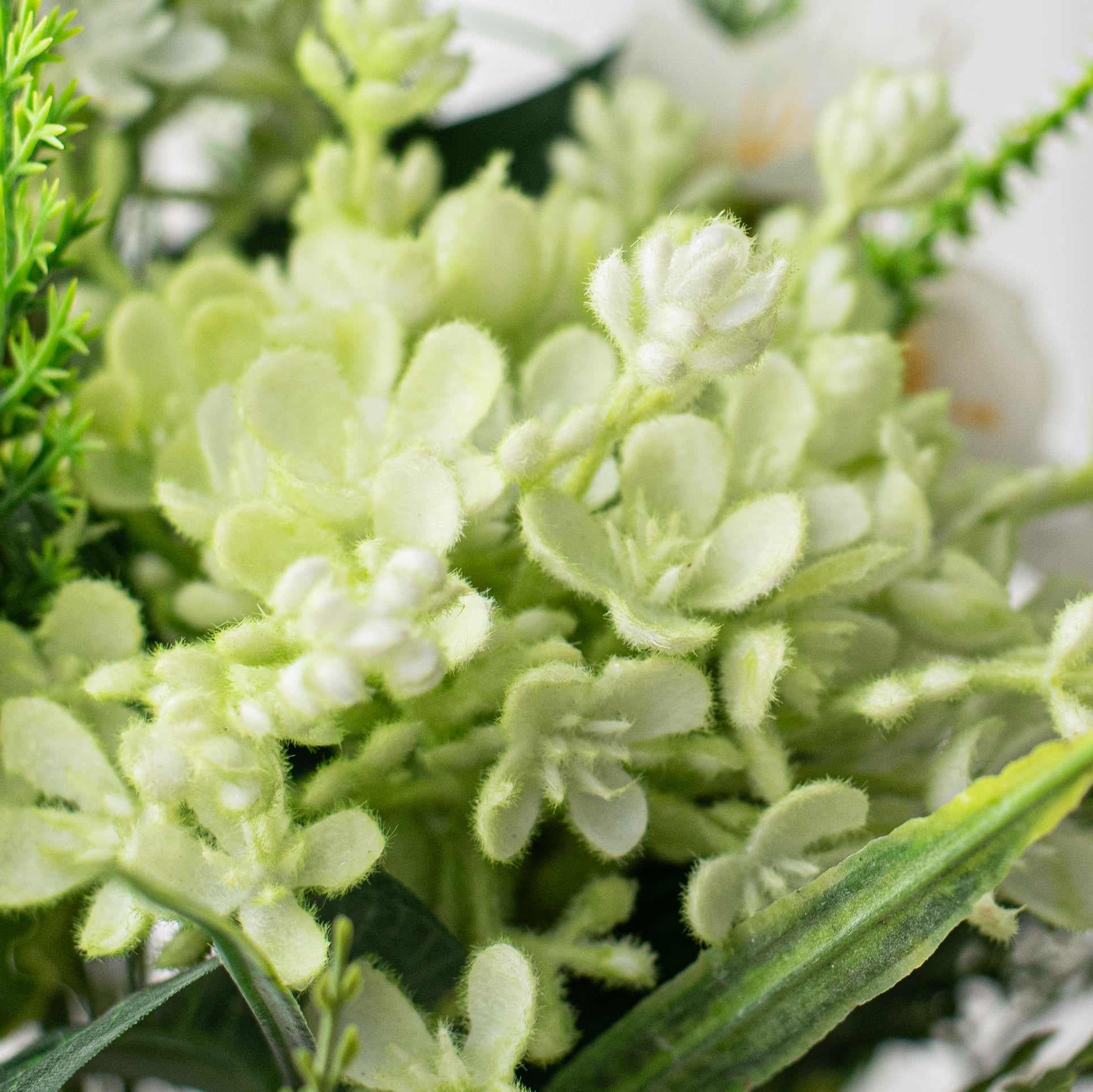 17" Plum Blossom & Cedar Bouquet: White/Green detail photo 4