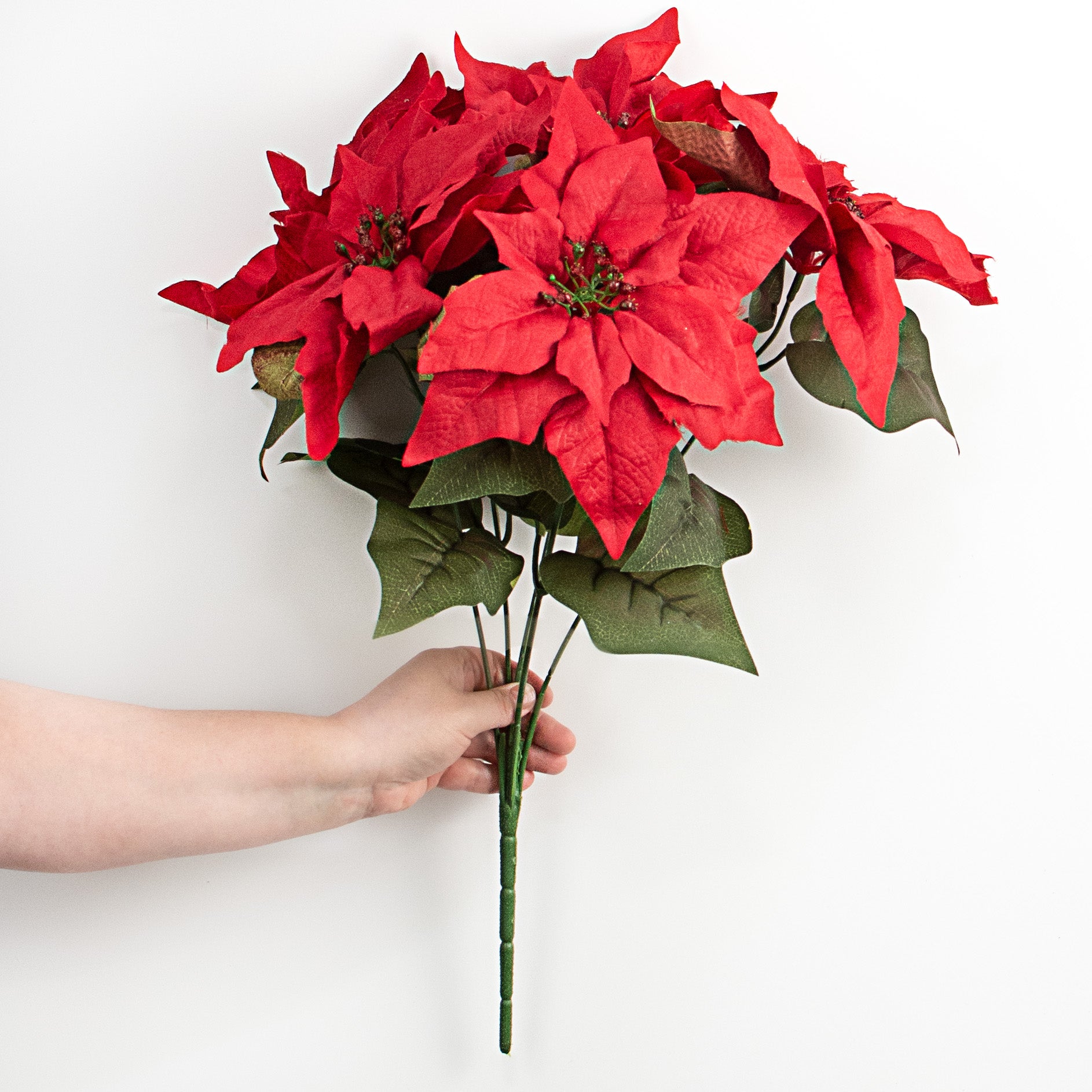 21" Poinsettia Bush: Red detail photo 3