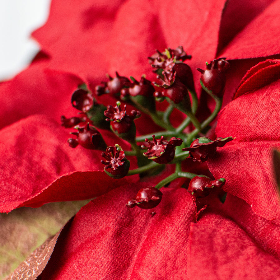 21" Poinsettia Bush: Red detail photo 4