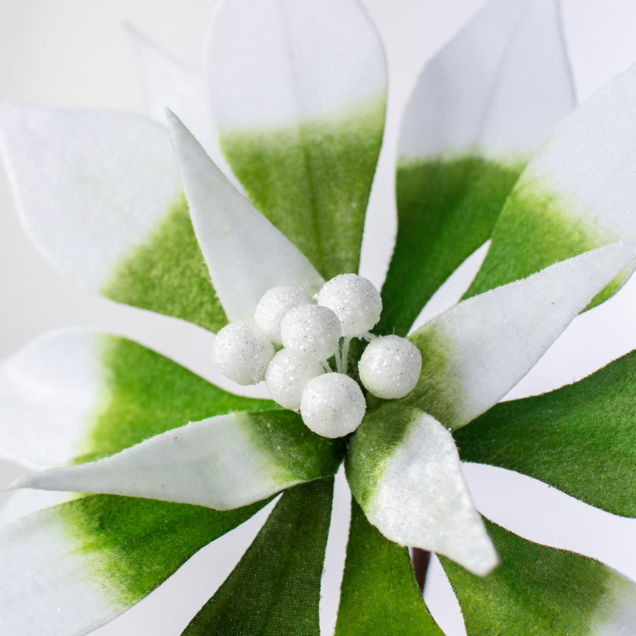 22" Poinsettia Stem: Green & White Variegated Lifestyle Photo