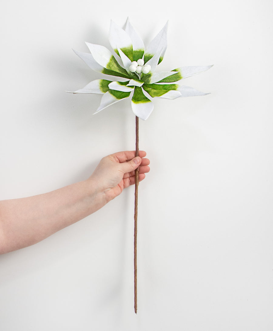22" Poinsettia Stem: Green & White Variegated detail photo 3