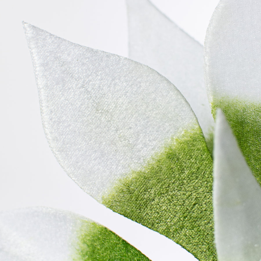 22" Poinsettia Stem: Green & White Variegated detail photo 4