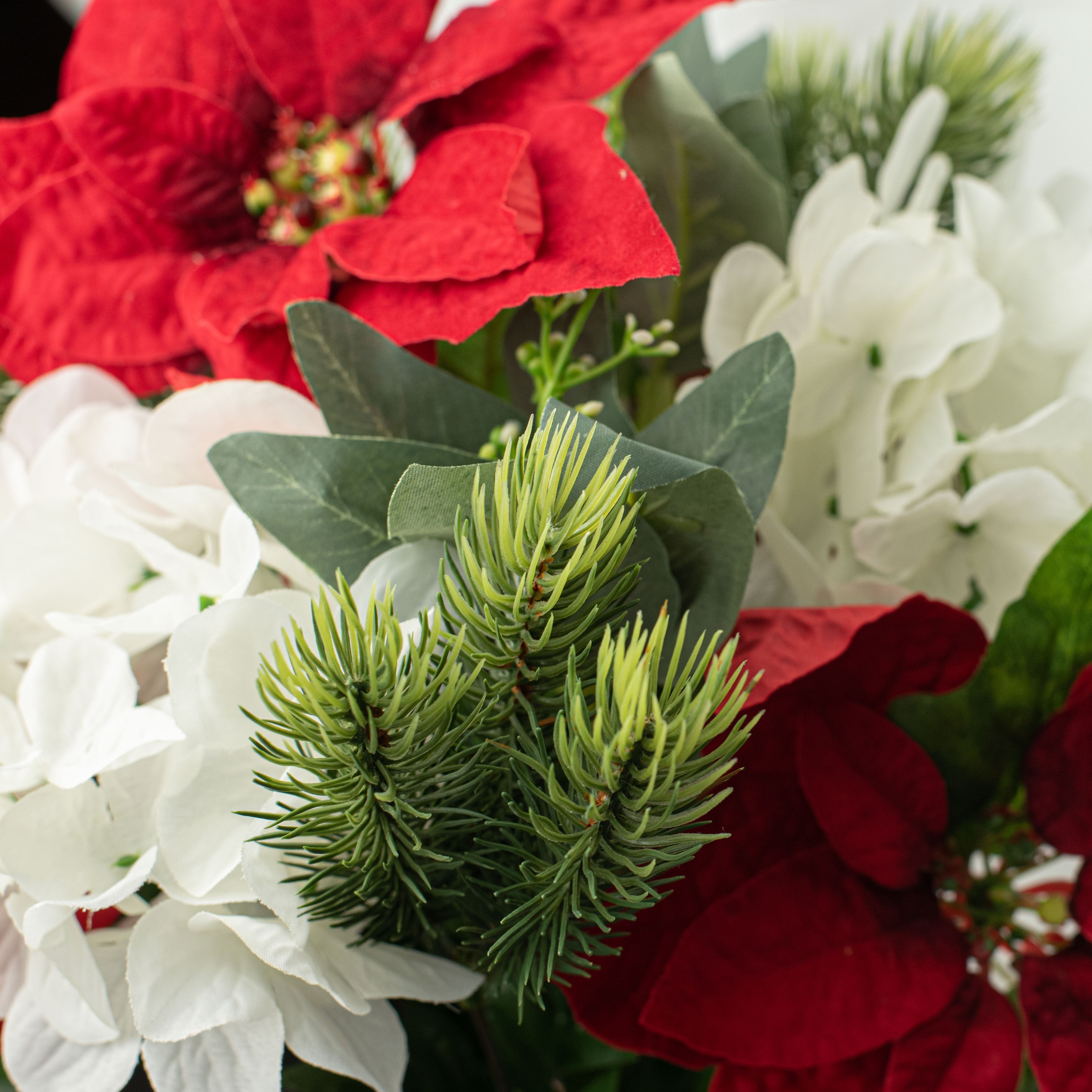20" Poinsettia Hydrangea Bush Lifestyle Photo