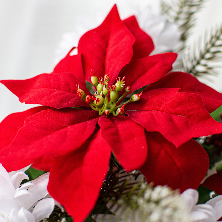 21" Poinsettia Mum Bush: Red & White Lifestyle Photo