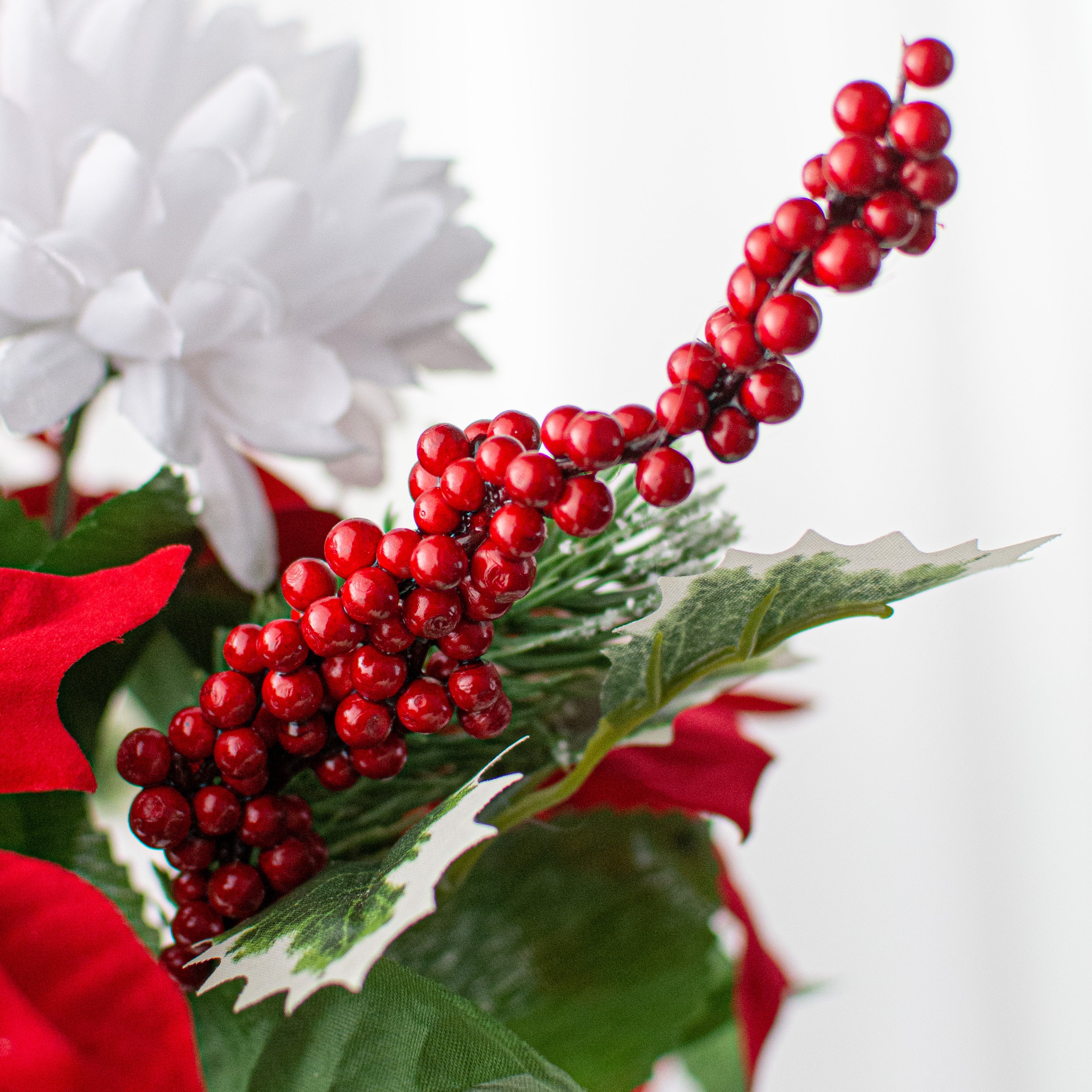 21" Poinsettia Mum Bush: Red & White detail photo 4