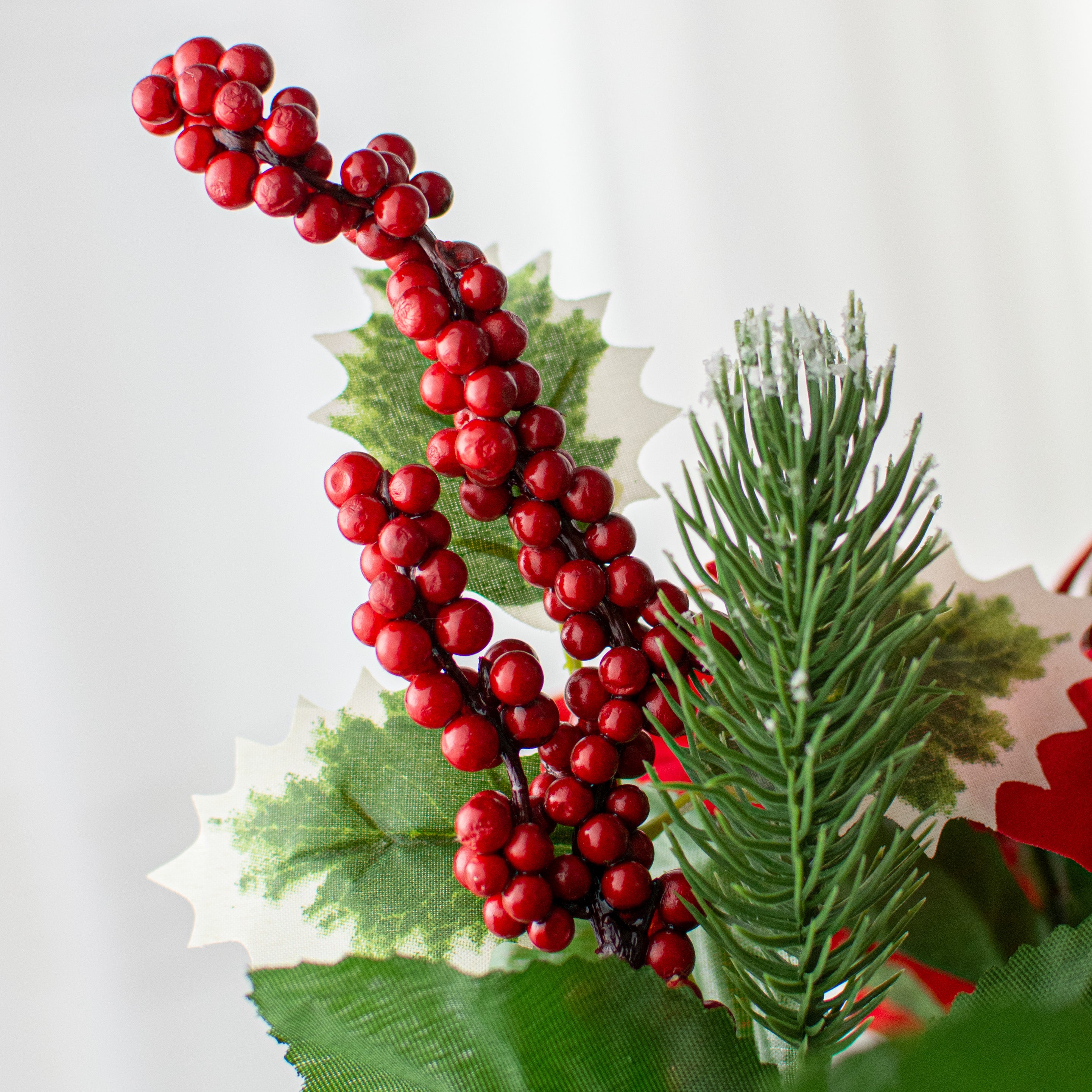 21" Poinsettia Mum Bush: Red & White detail photo 5