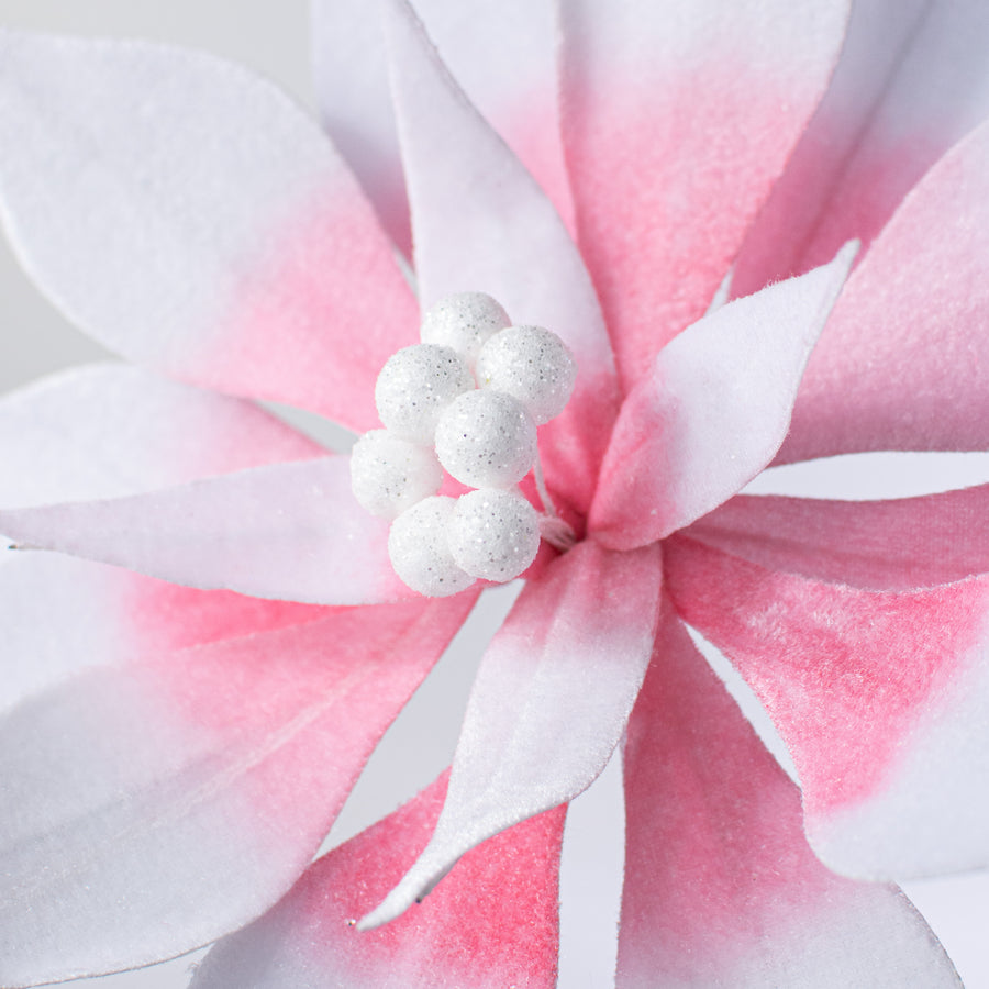 22" Poinsettia Stem: Pink & White Variegated Lifestyle Photo