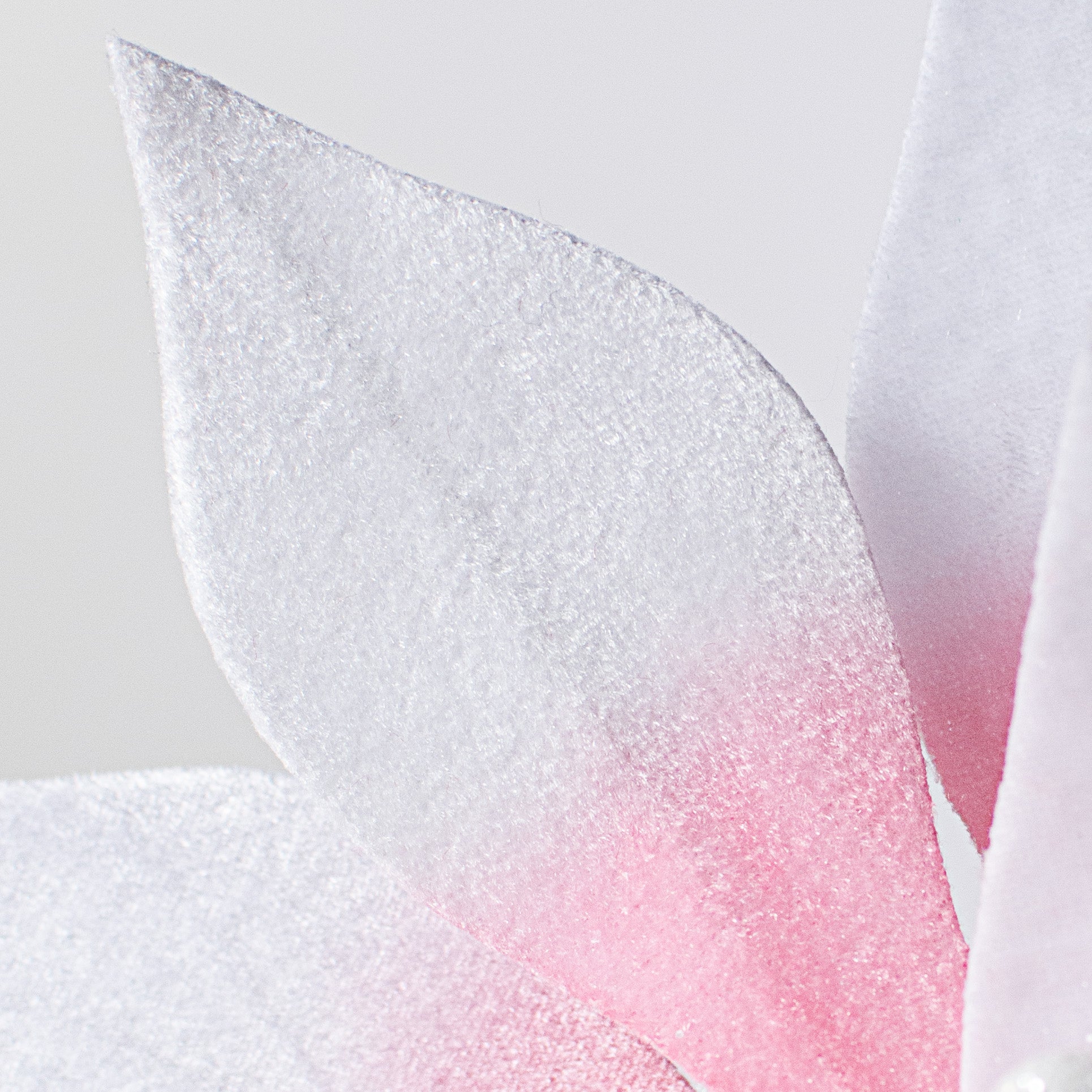 22" Poinsettia Stem: Pink & White Variegated detail photo 4