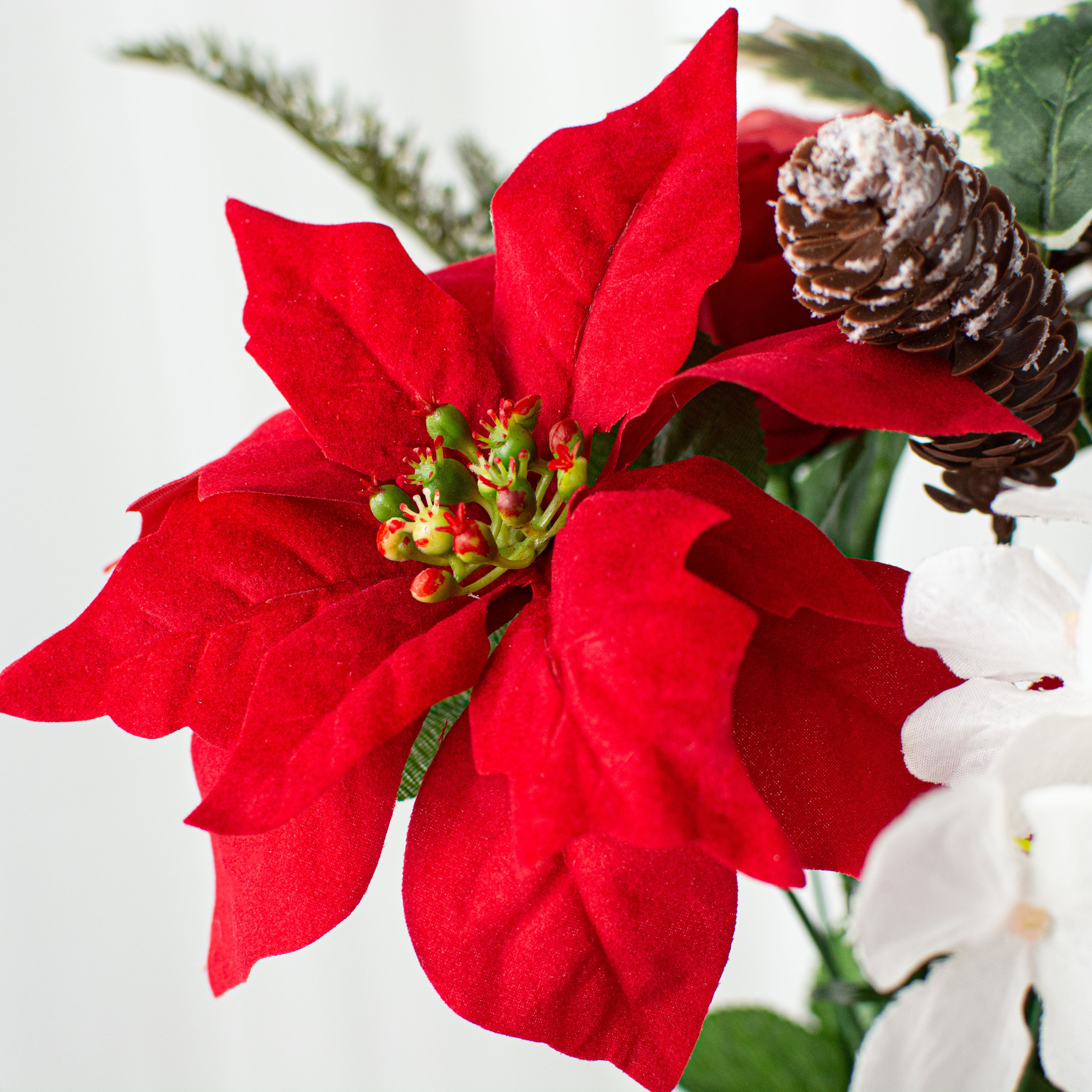 16" Poinsettia Rose Pine Bush: Red & White detail photo 4