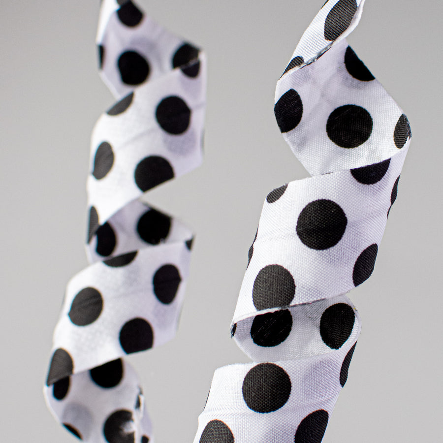 24" Polka Dot Curly Pick: White & Black Lifestyle Photo