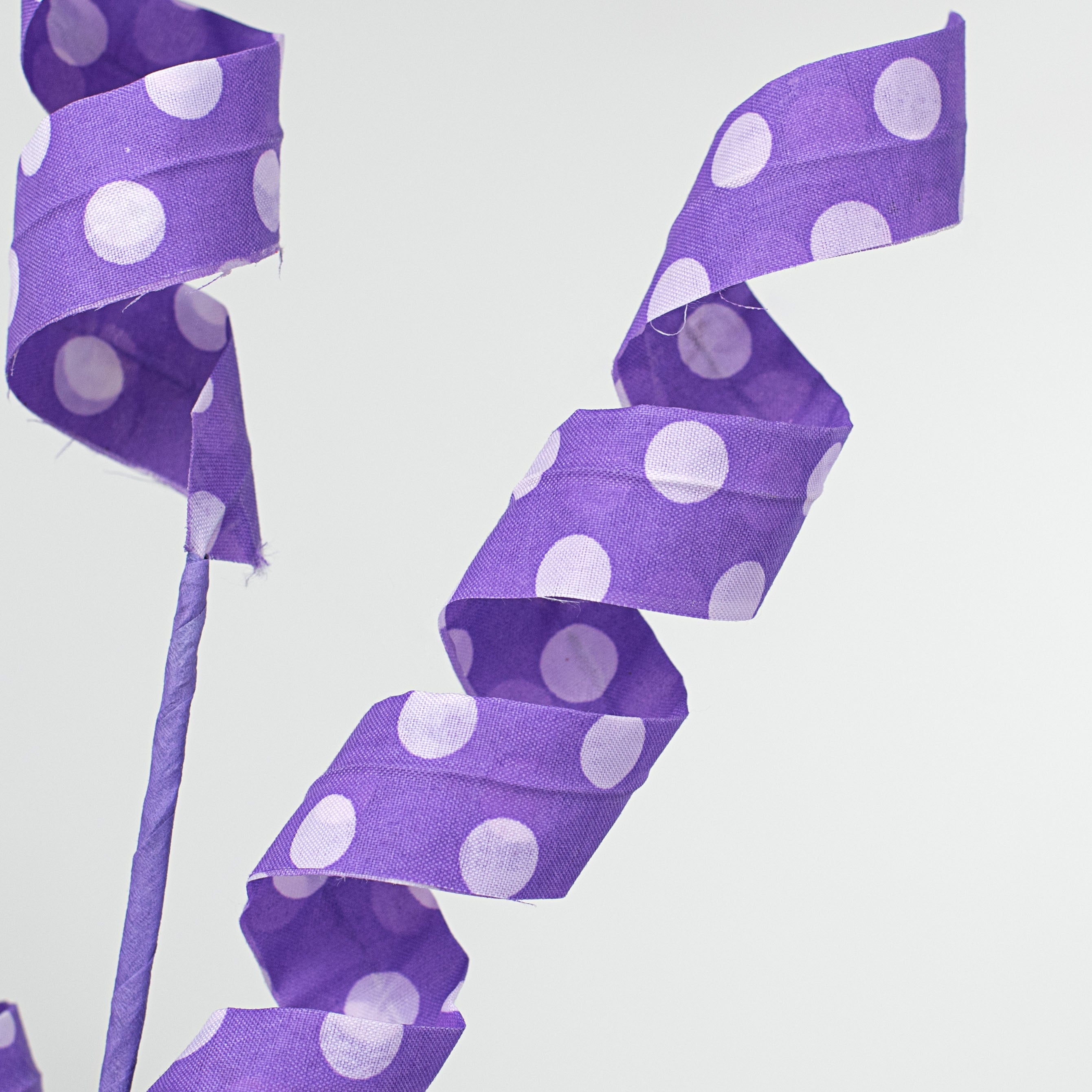 24" Polka Dot Curly Pick: White & Purple Lifestyle Photo