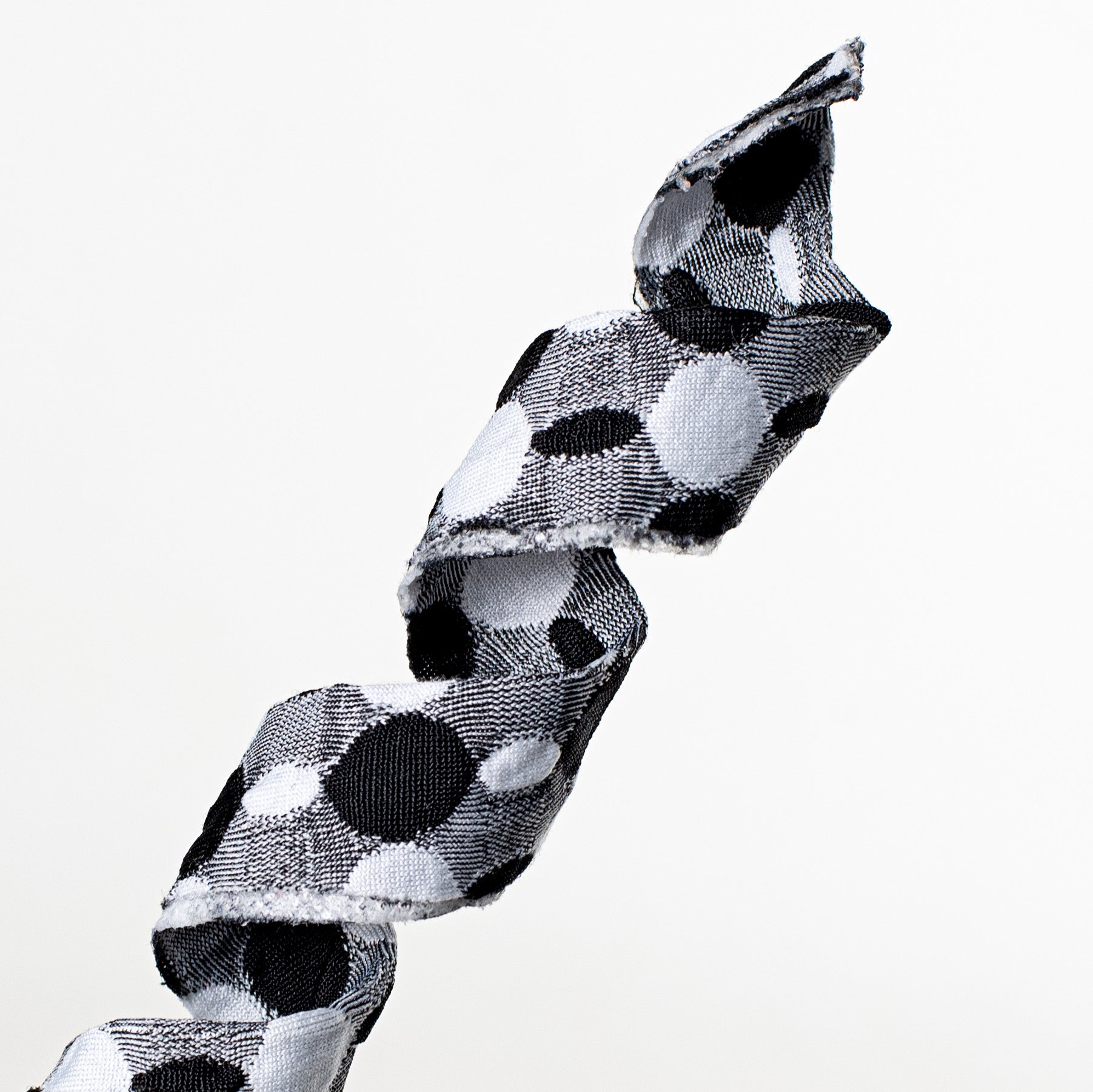 25" Polka Dot Curly Spray: Black & White Lifestyle Photo