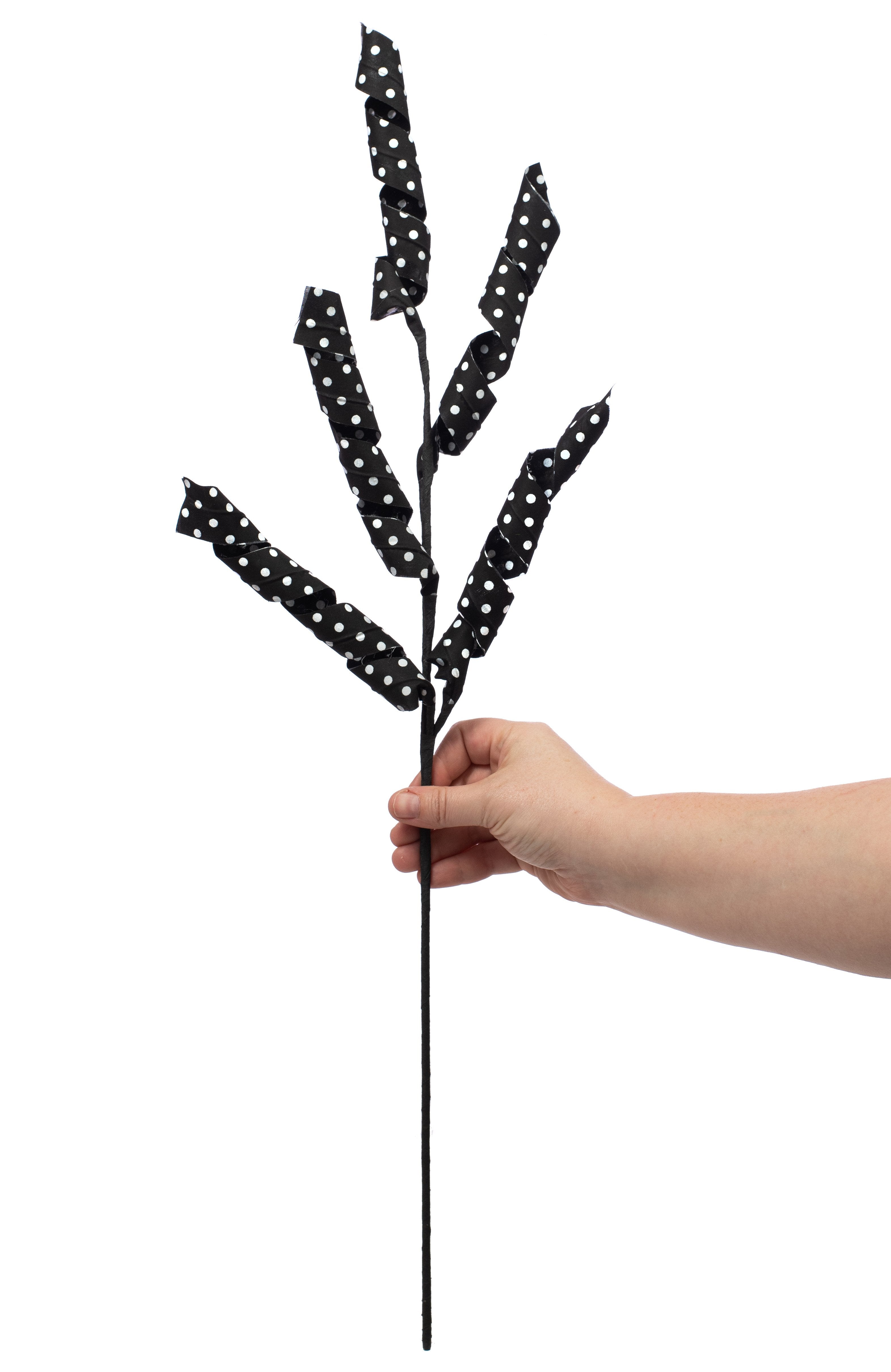 28" Polka Dot Curly Spray: Black & White Lifestyle Photo