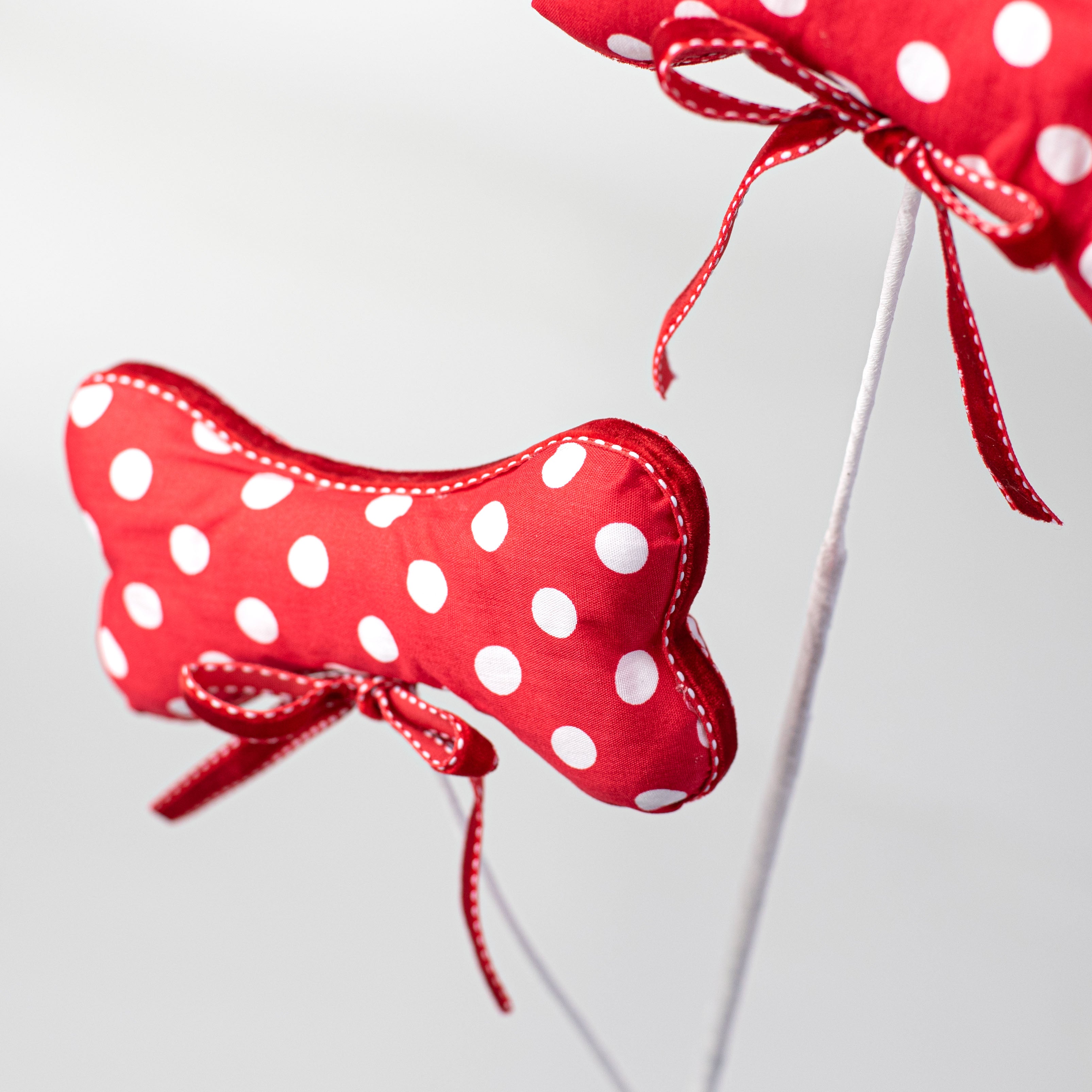 26" Polkadot Dog Bone Spray Lifestyle Photo