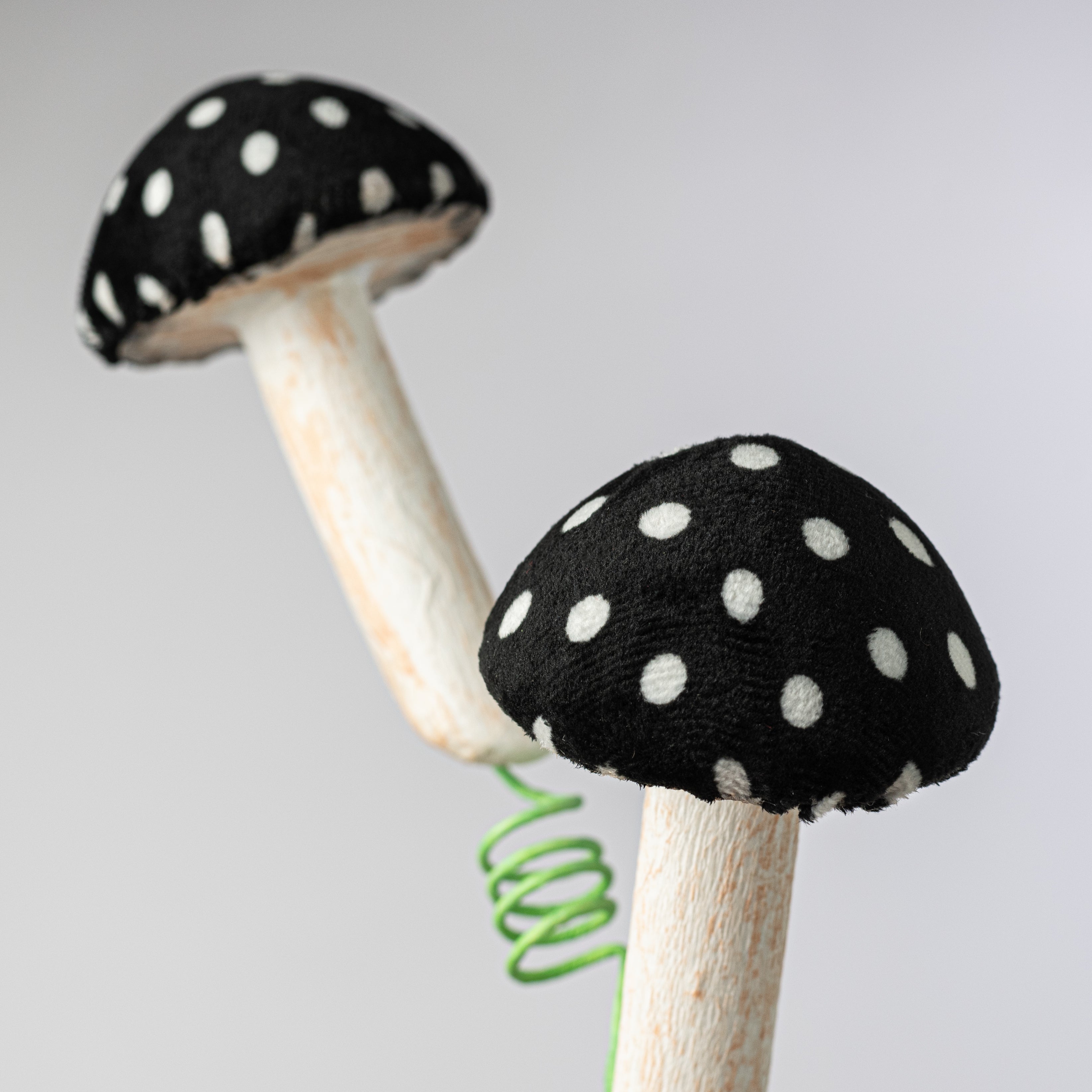 22" Polkadot Mushroom Spray: Black & White Lifestyle Photo