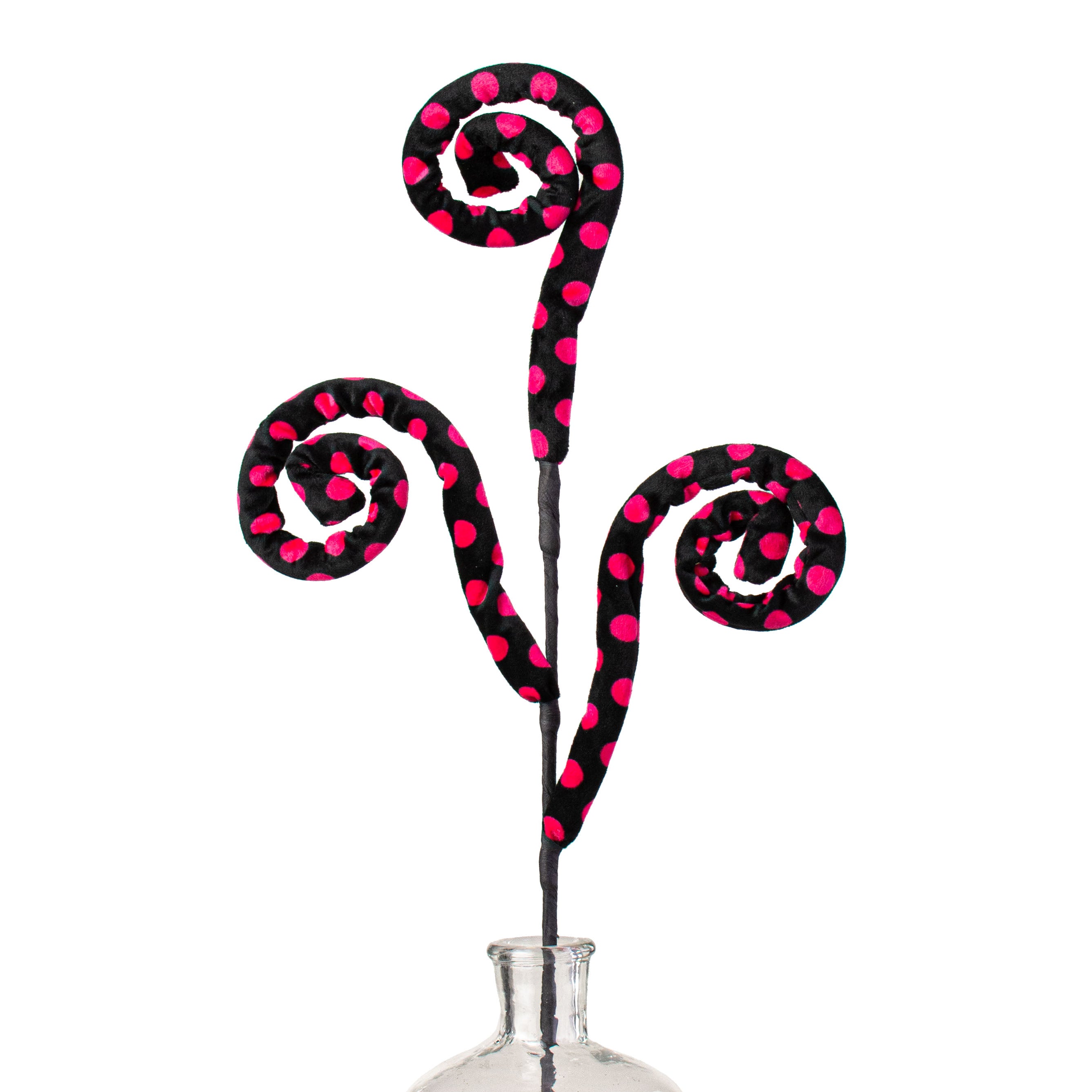 29" Polkadot Spiral Curly Spray: Black & Fuchsia Item Number: 56941BTBK