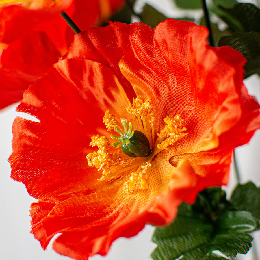 16" Poppy Bush: Orange Lifestyle Photo