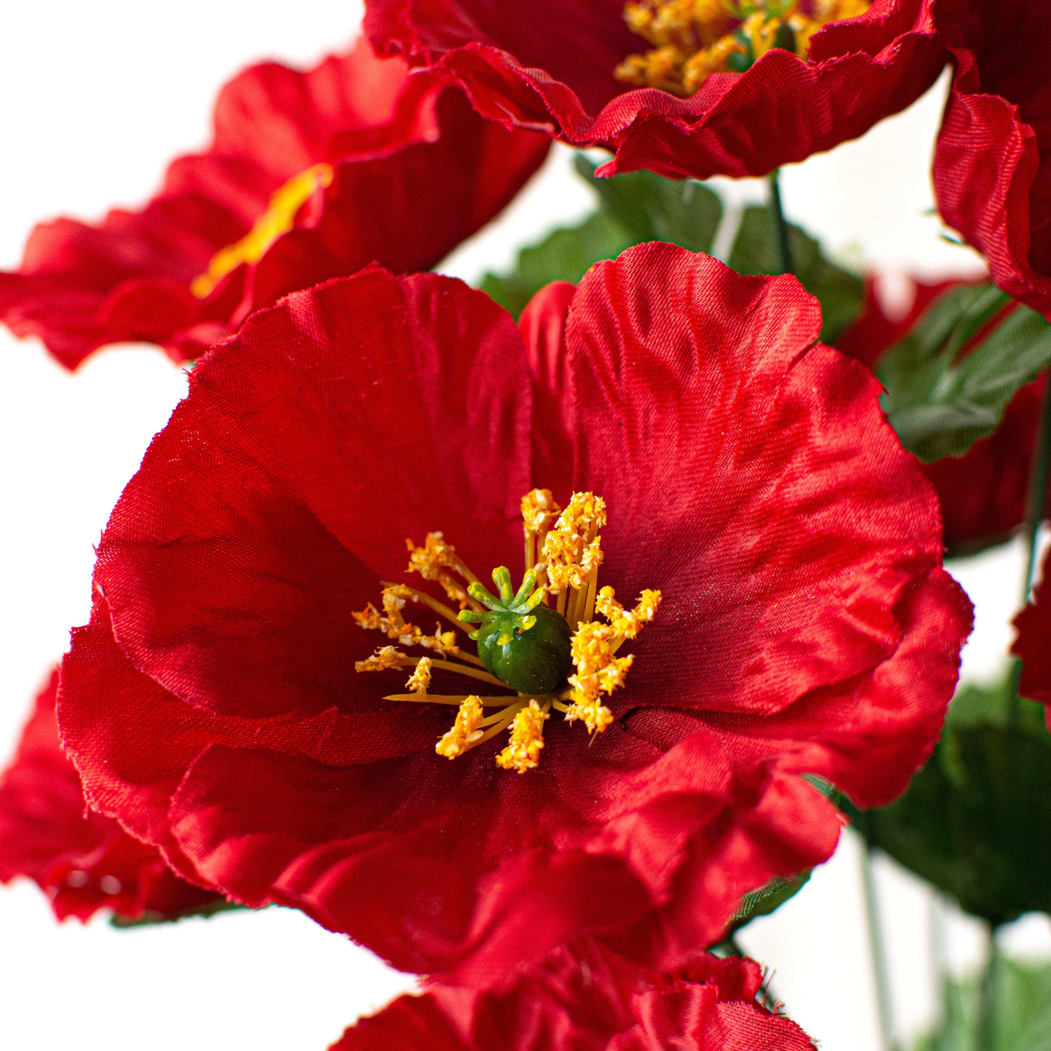 16" Poppy Bush: Red Lifestyle Photo