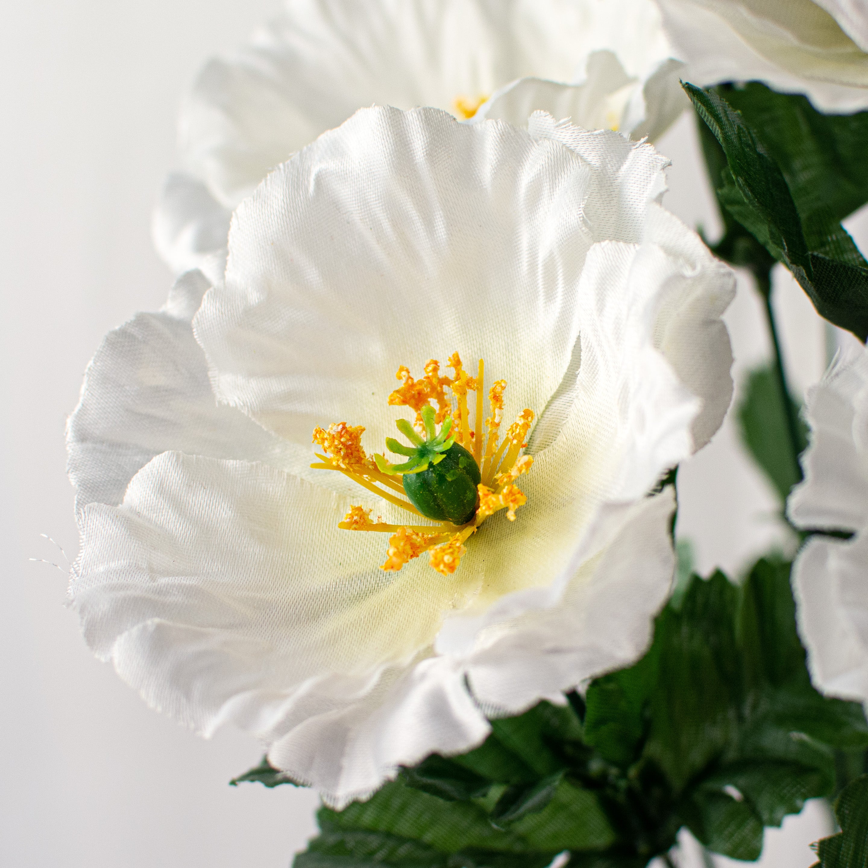 16" Poppy Bush: White Lifestyle Photo