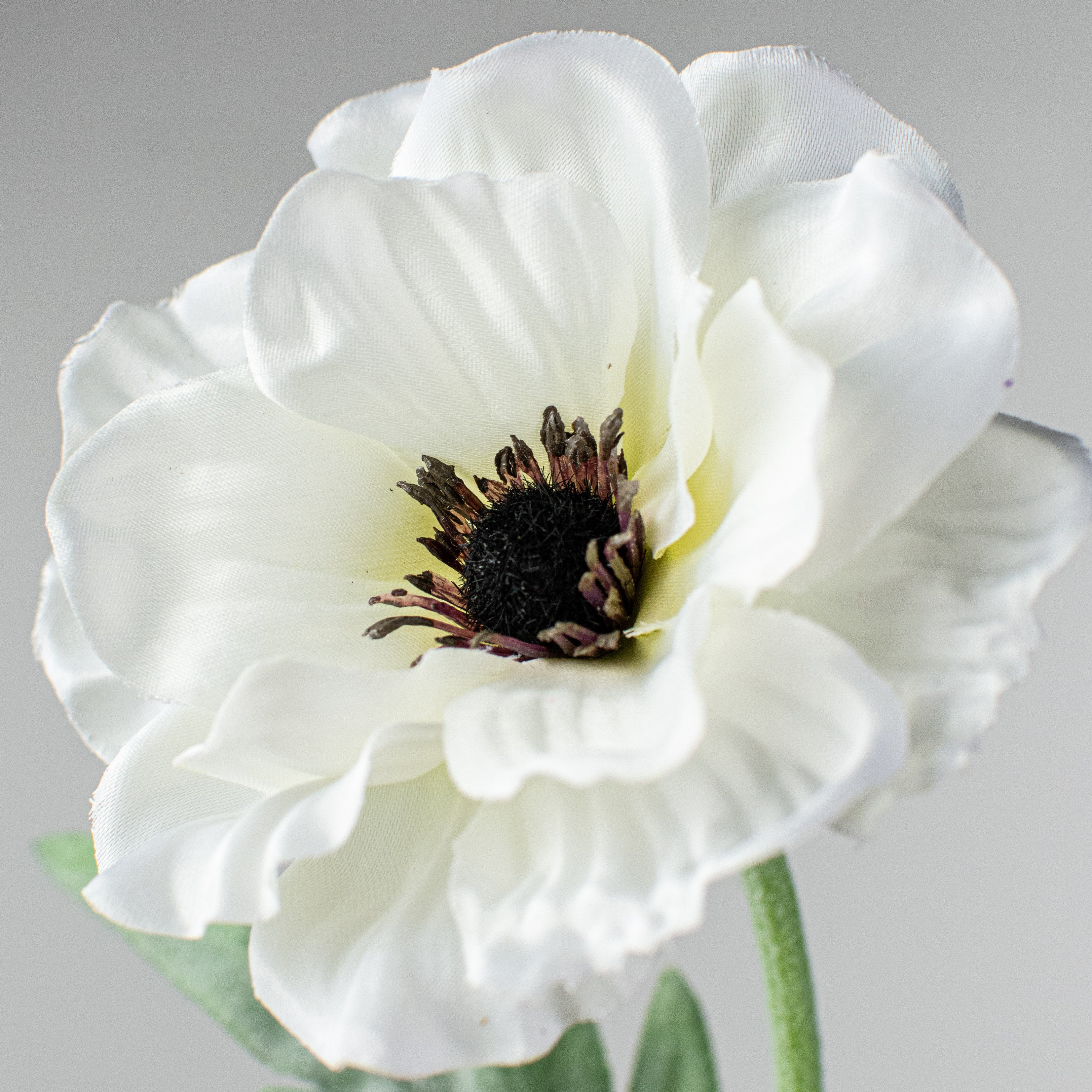 17" Poppy Stem: Cream Lifestyle Photo